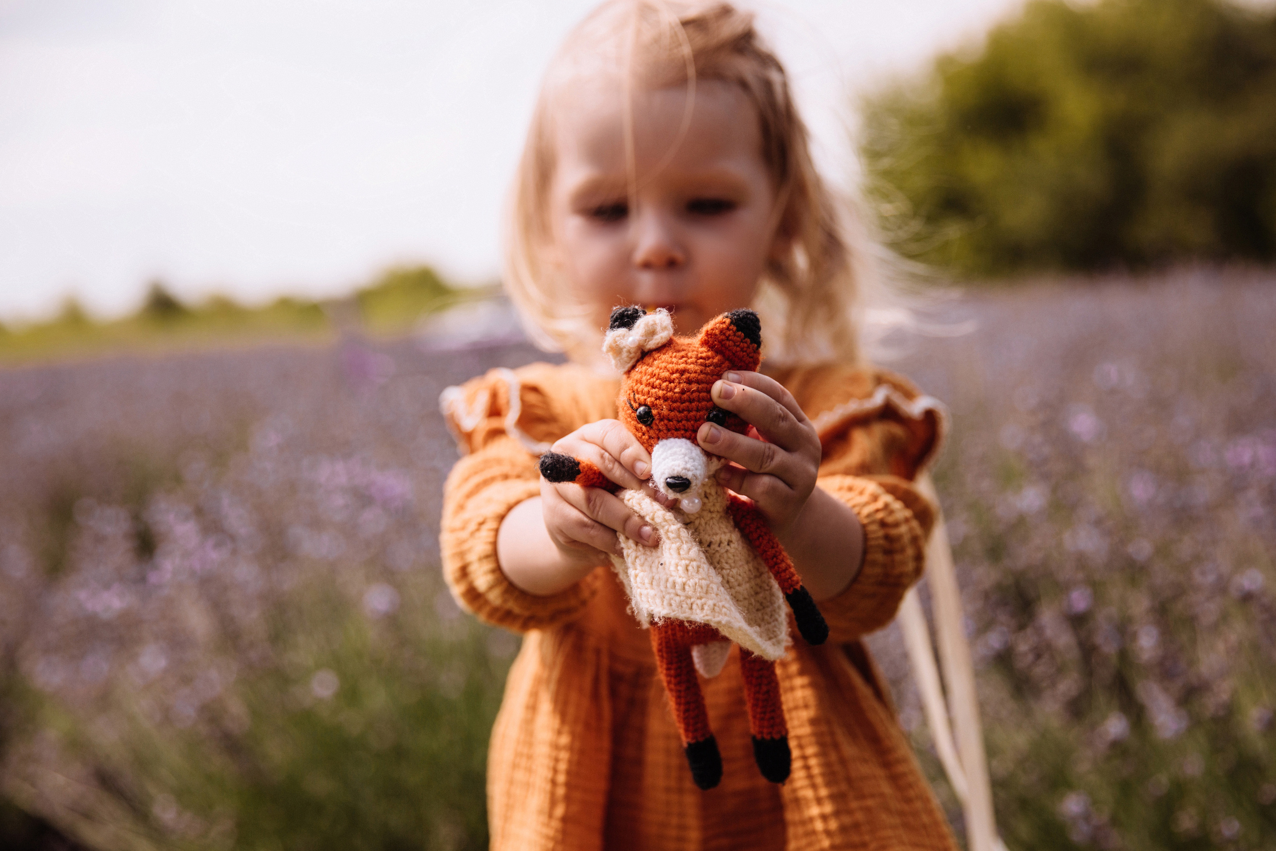 Алисёнок и лаванда. Персональный, семейный и портретный фотограф в Воронеже Майя Яхонтова