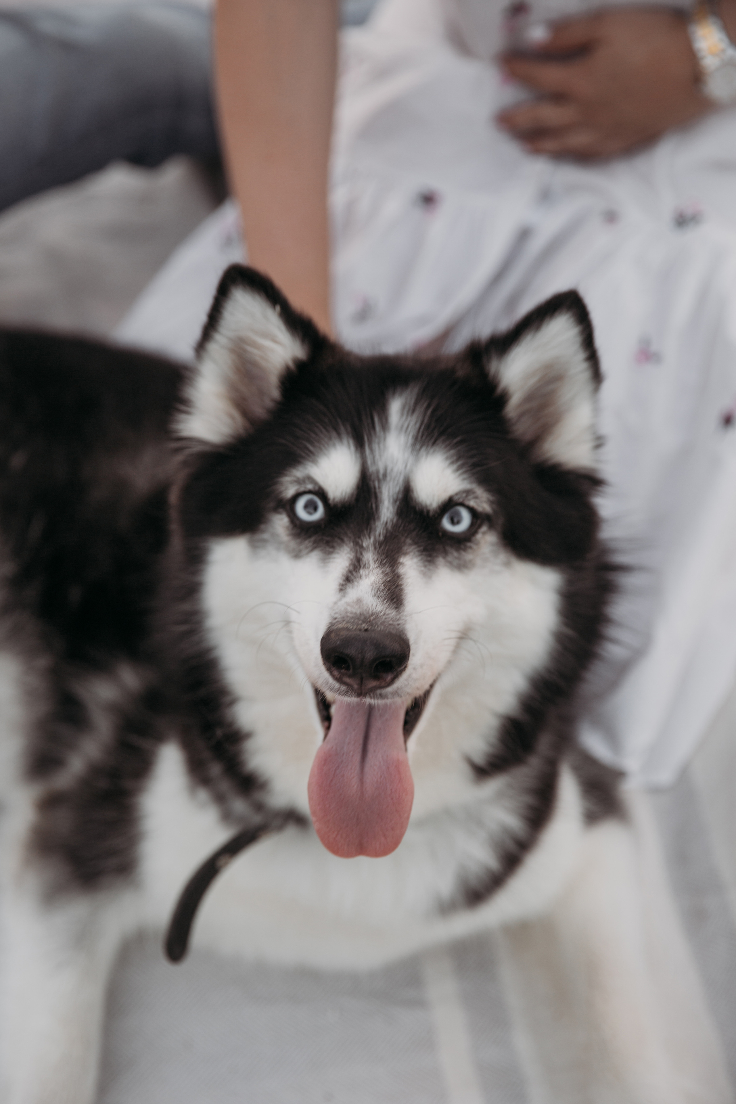 Настя, Вова и Герда. Персональный, семейный и портретный фотограф в Воронеже Майя Яхонтова