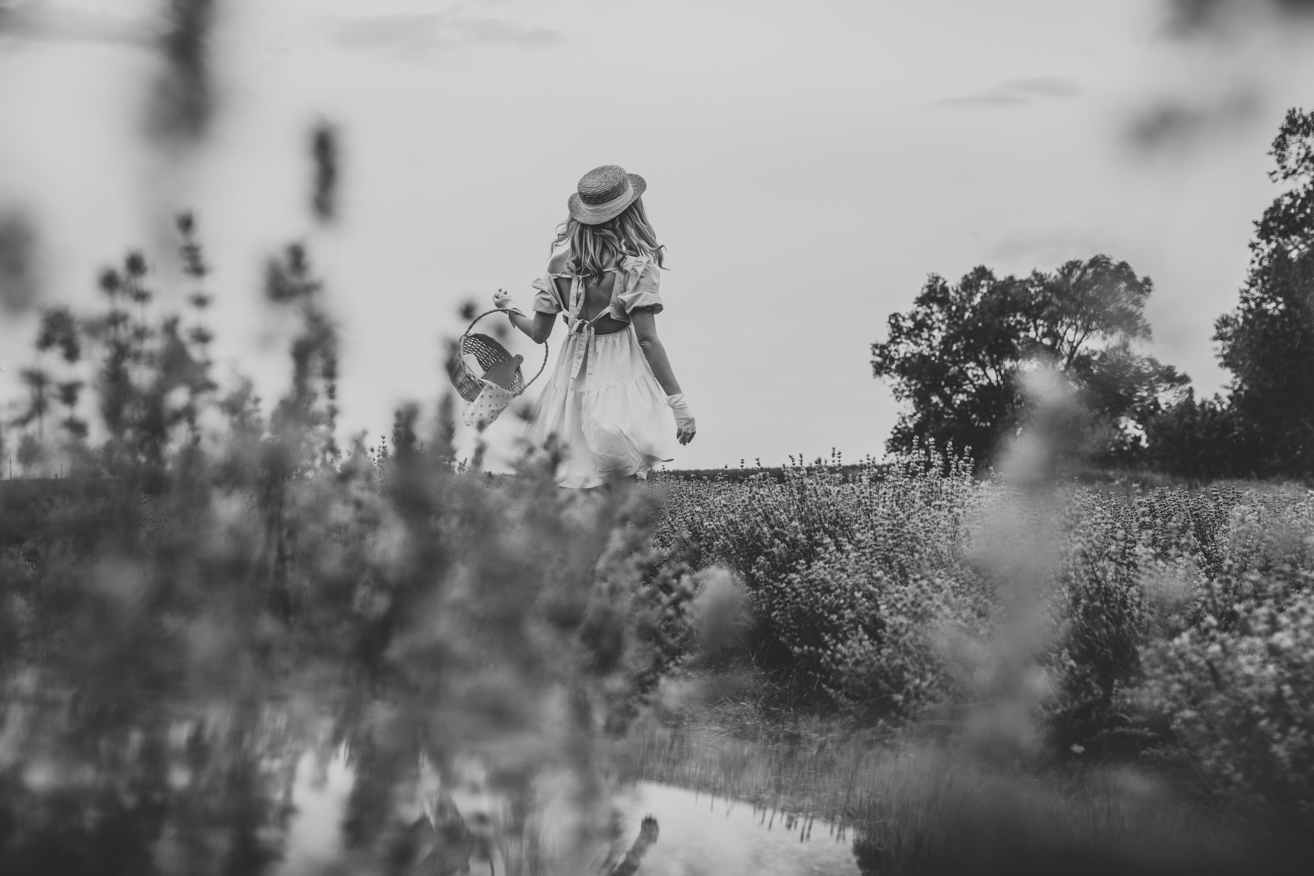 Катя и Прованс. Персональный, семейный и портретный фотограф в Воронеже Майя Яхонтова