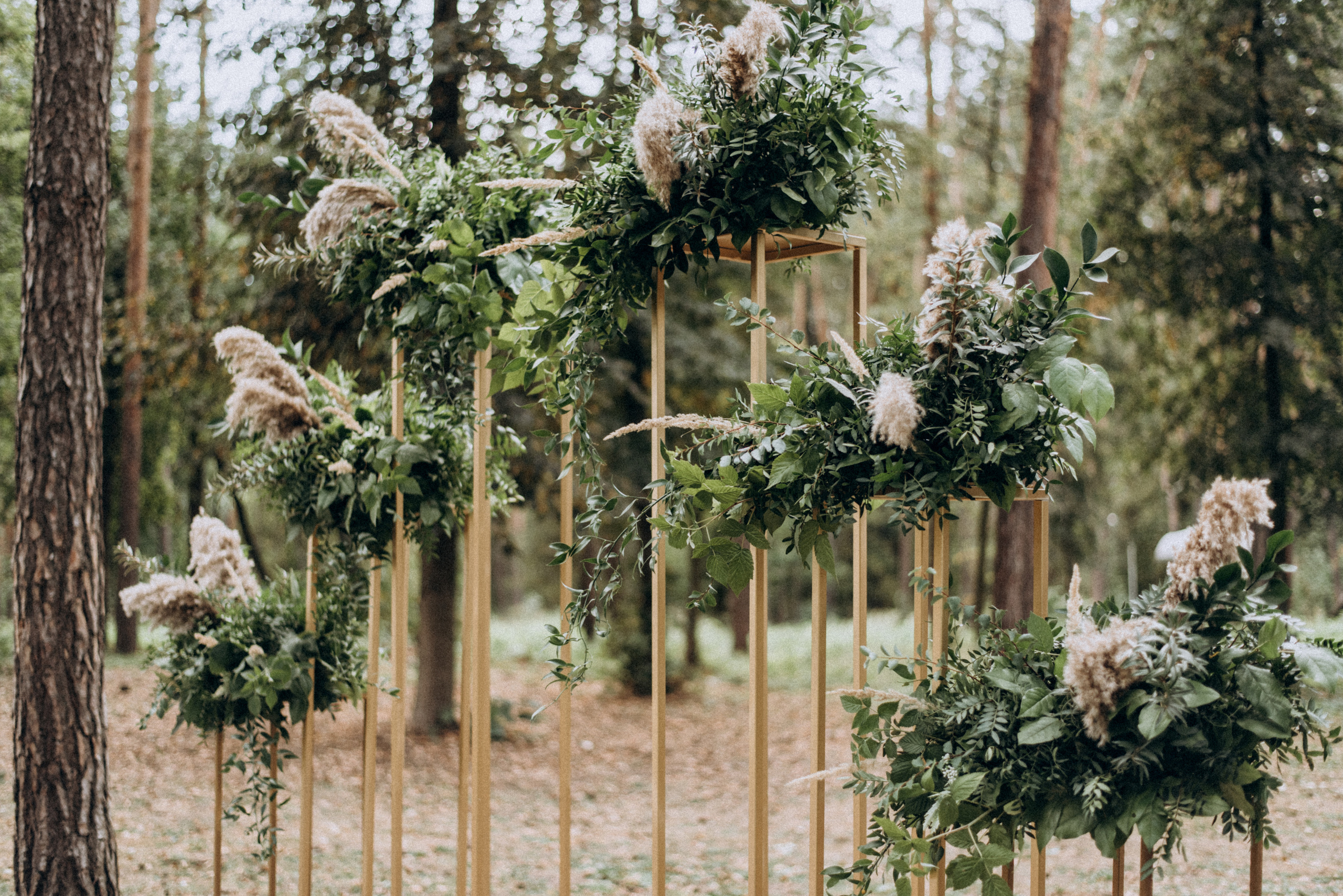 Ксения Павел. Фотограф Милка Татьяна