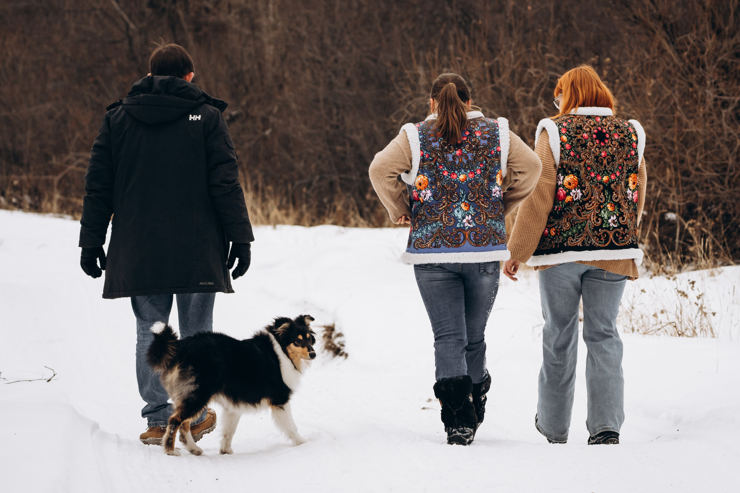 Альма. Фотограф-анималист Анастасия Большакова