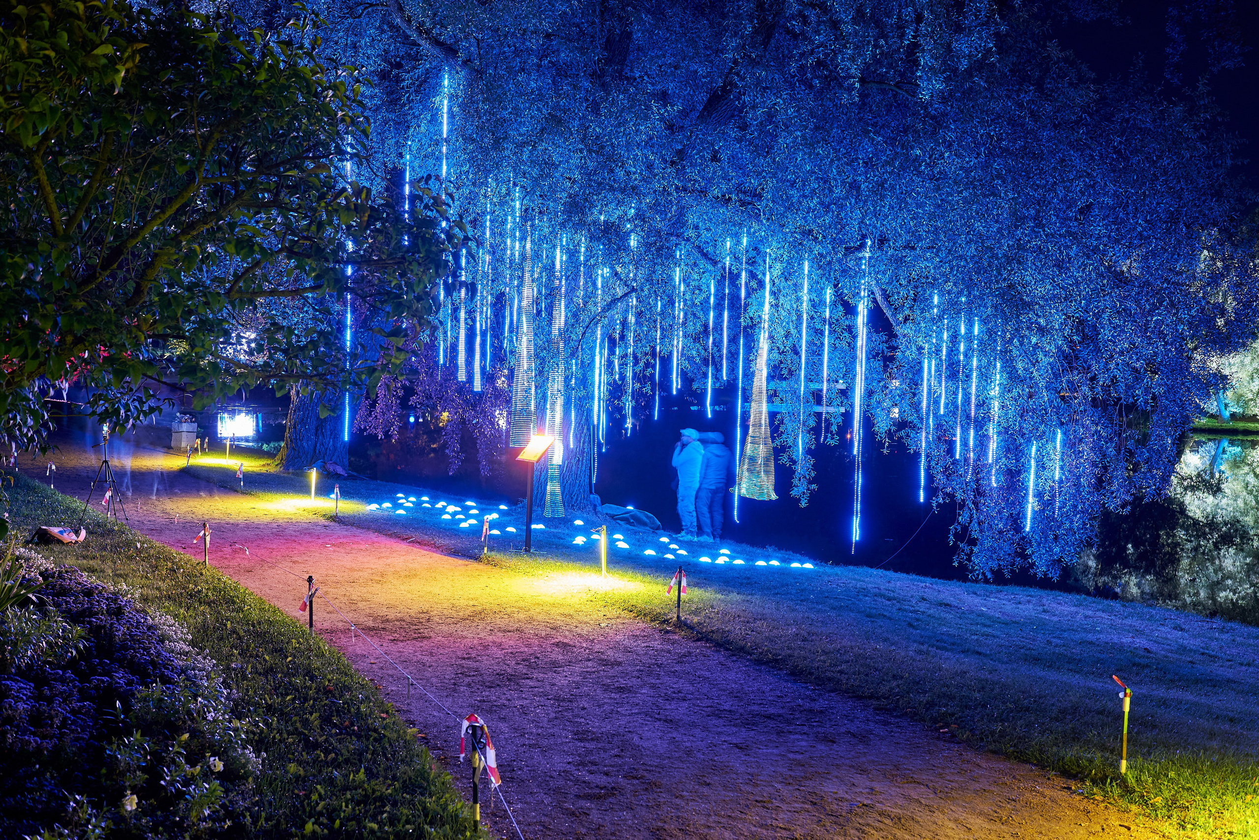 Ночь Света 2025