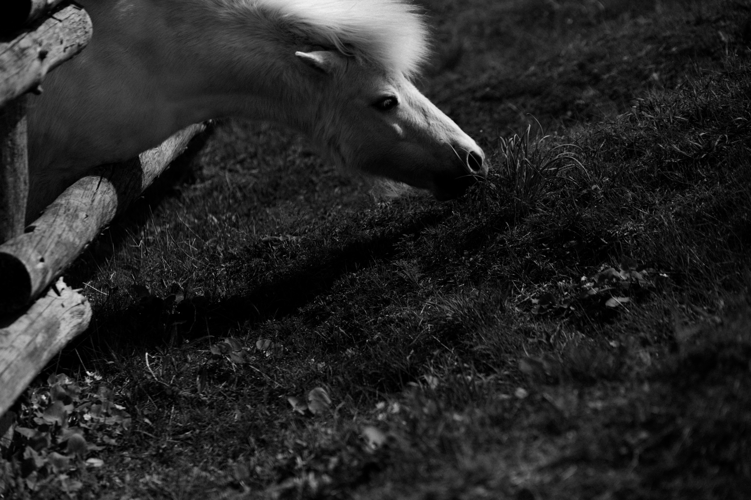 BAON x Кудыкина Гора. Фотограф Сурков Никита