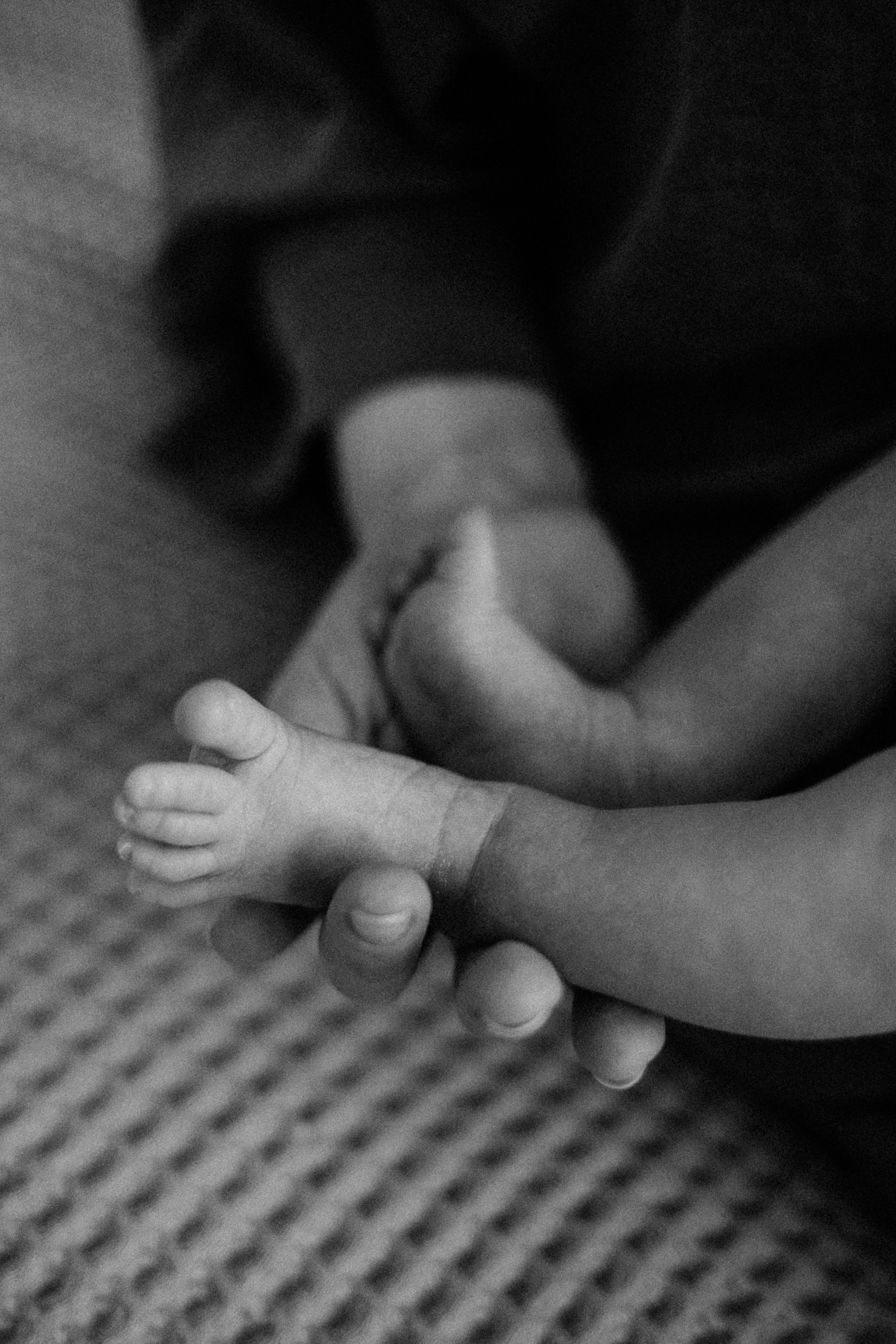 Анастасия/Андрей/Арина/2025. Свадебный и семейный фотограф в Екатеринбурге