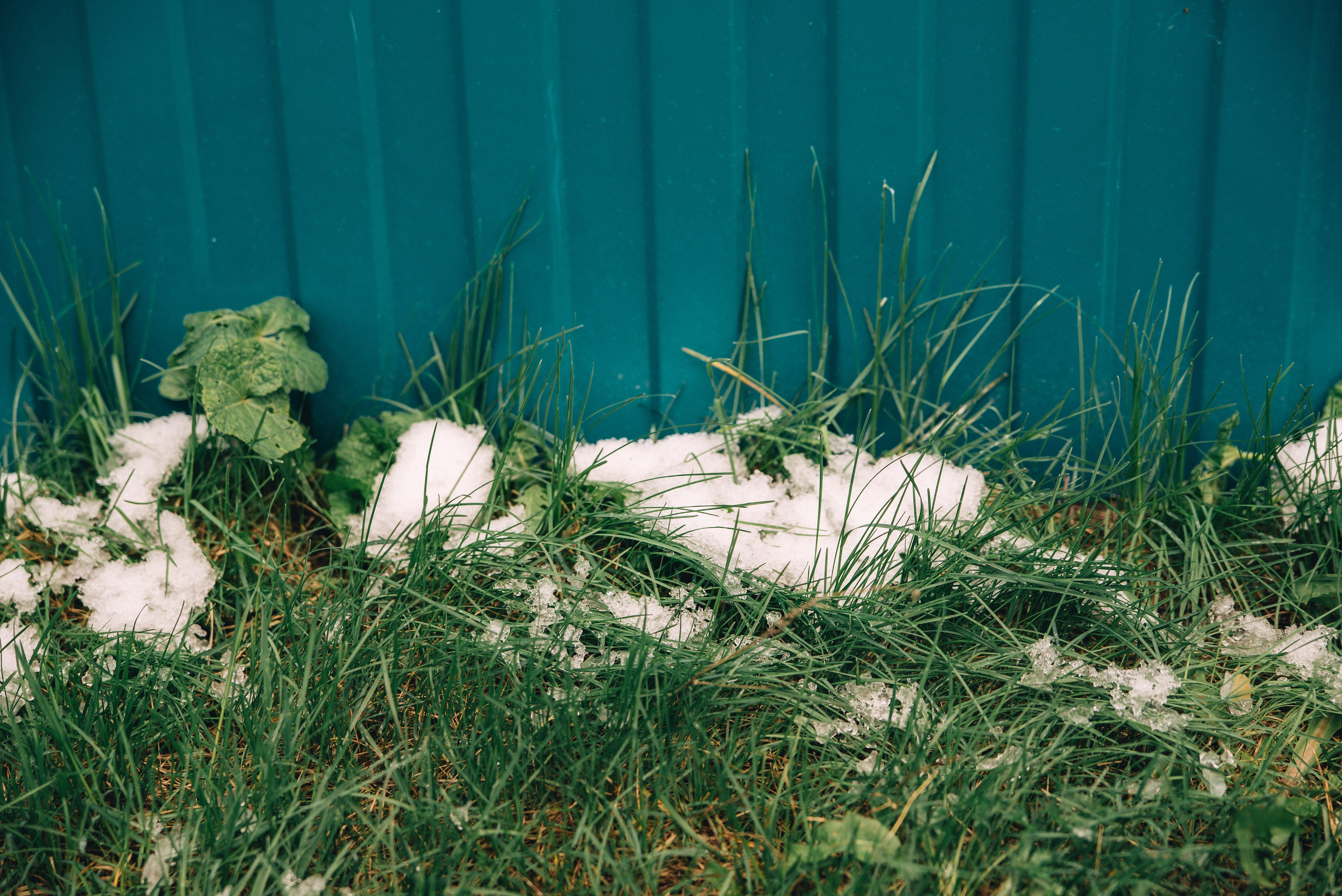 XIV Автопробег 2024 «Ветеранам глубинки — заботу и внимание» (маршрут № 3). Фотограф в Самаре Елена Фомина