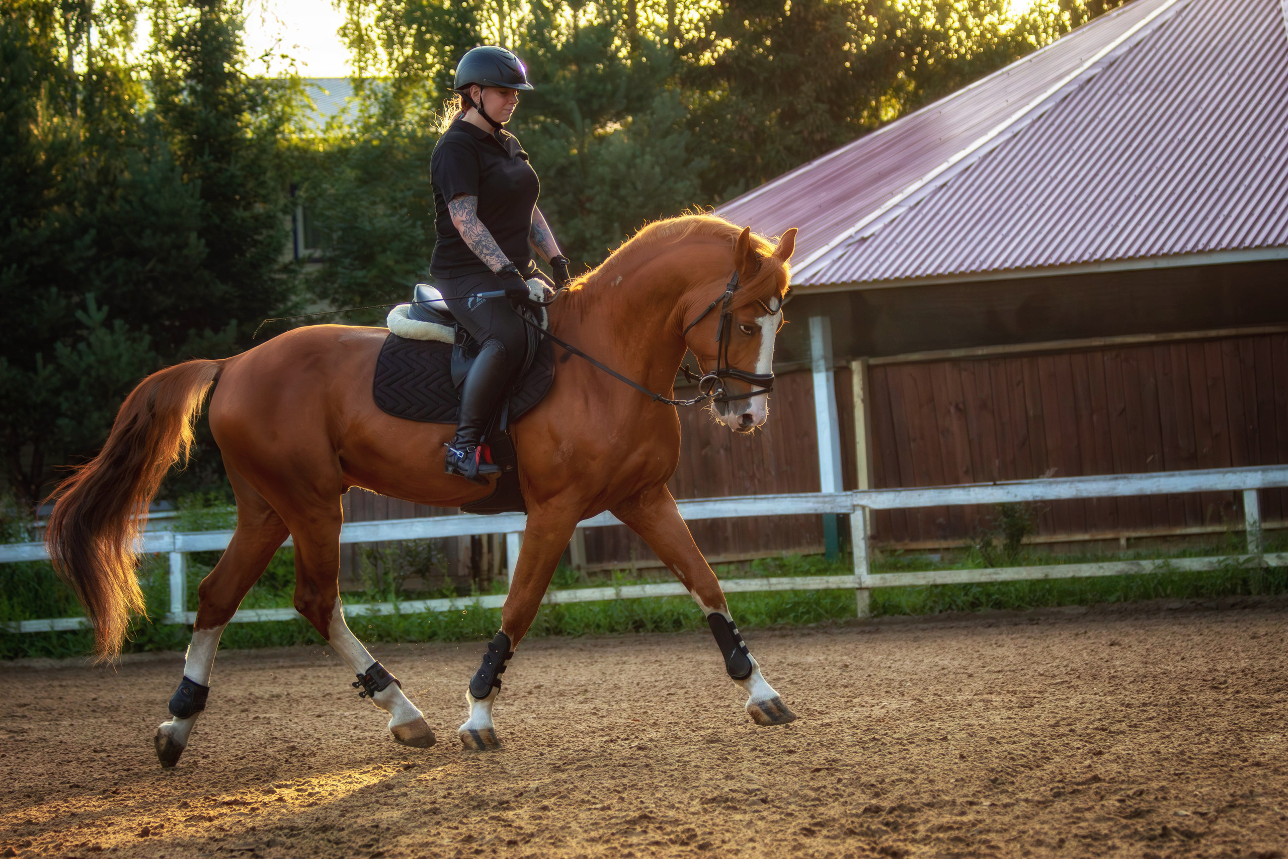 Таисия и Камелот. Фотограф анималист — Тула, Москва