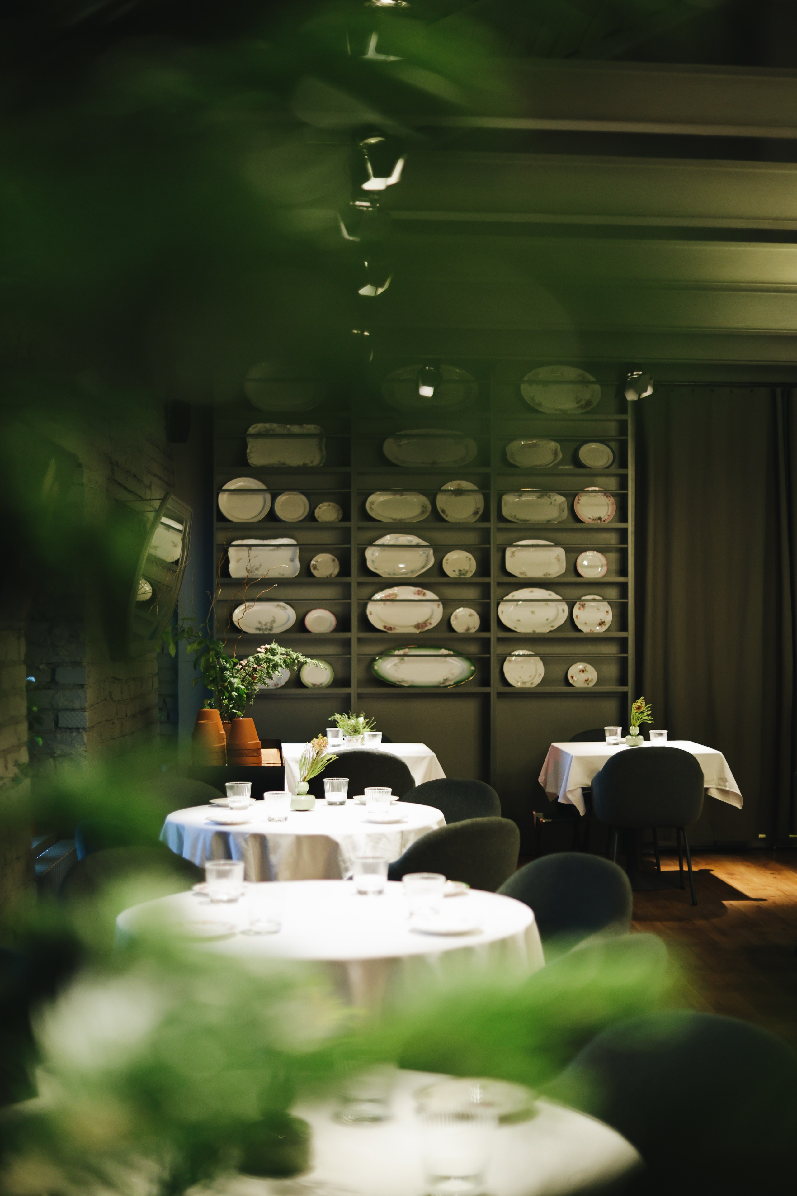 Сад. Света Голобородько, фотограф еды и событий в Санкт-Петербурге