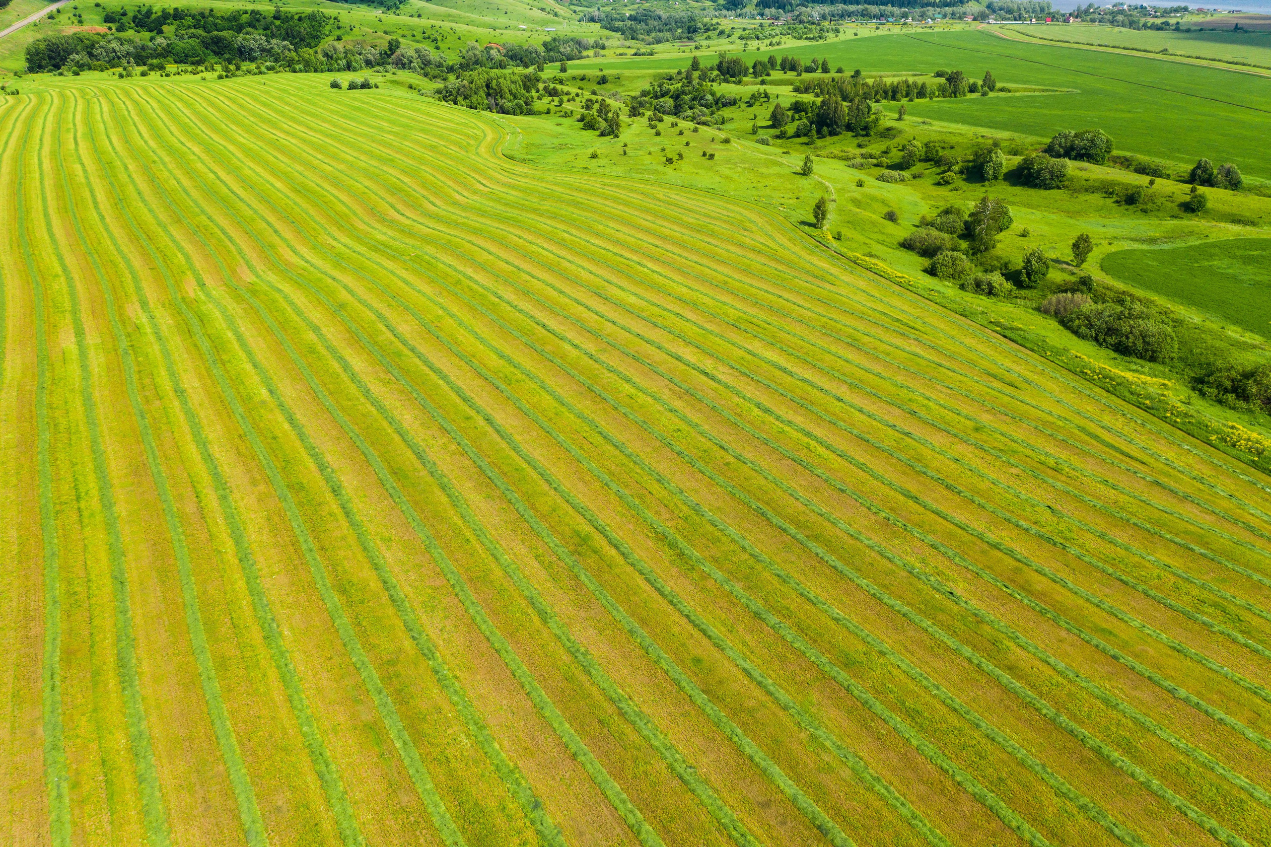 Аэросъемка. Репортажный фотограф в Ижевске Константин Ившин