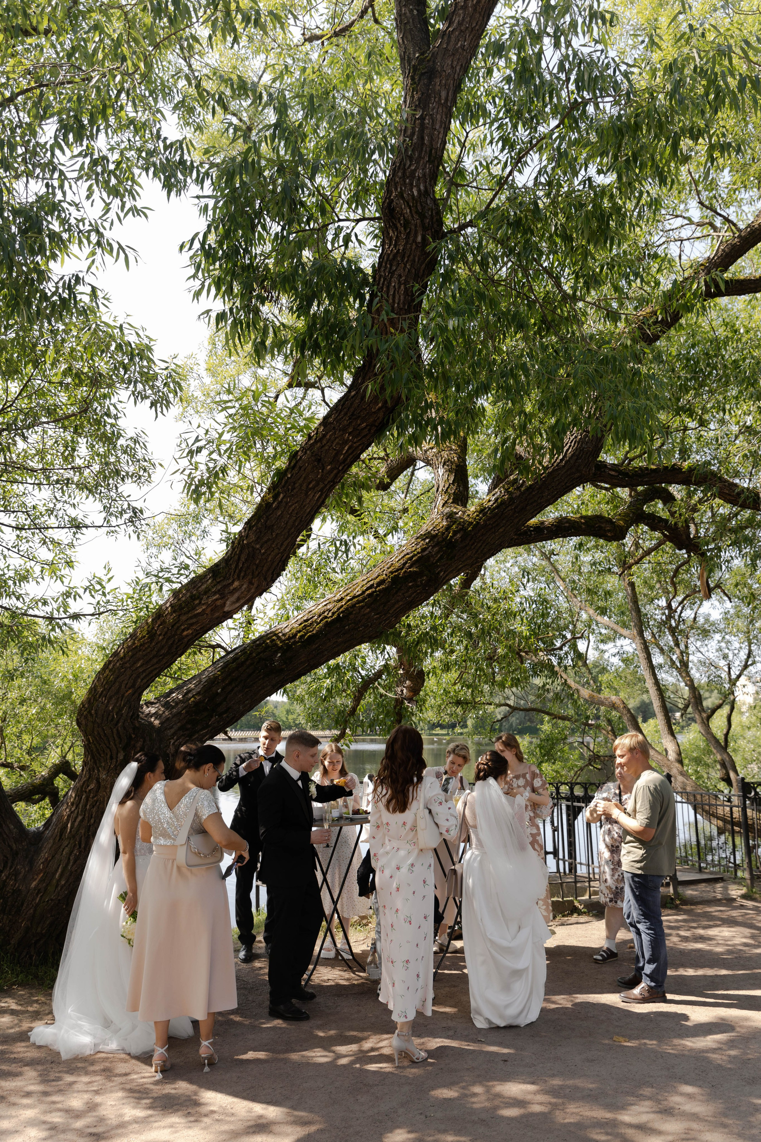 Алексей и Виктория. @dariazphoto свадебный фотограф
