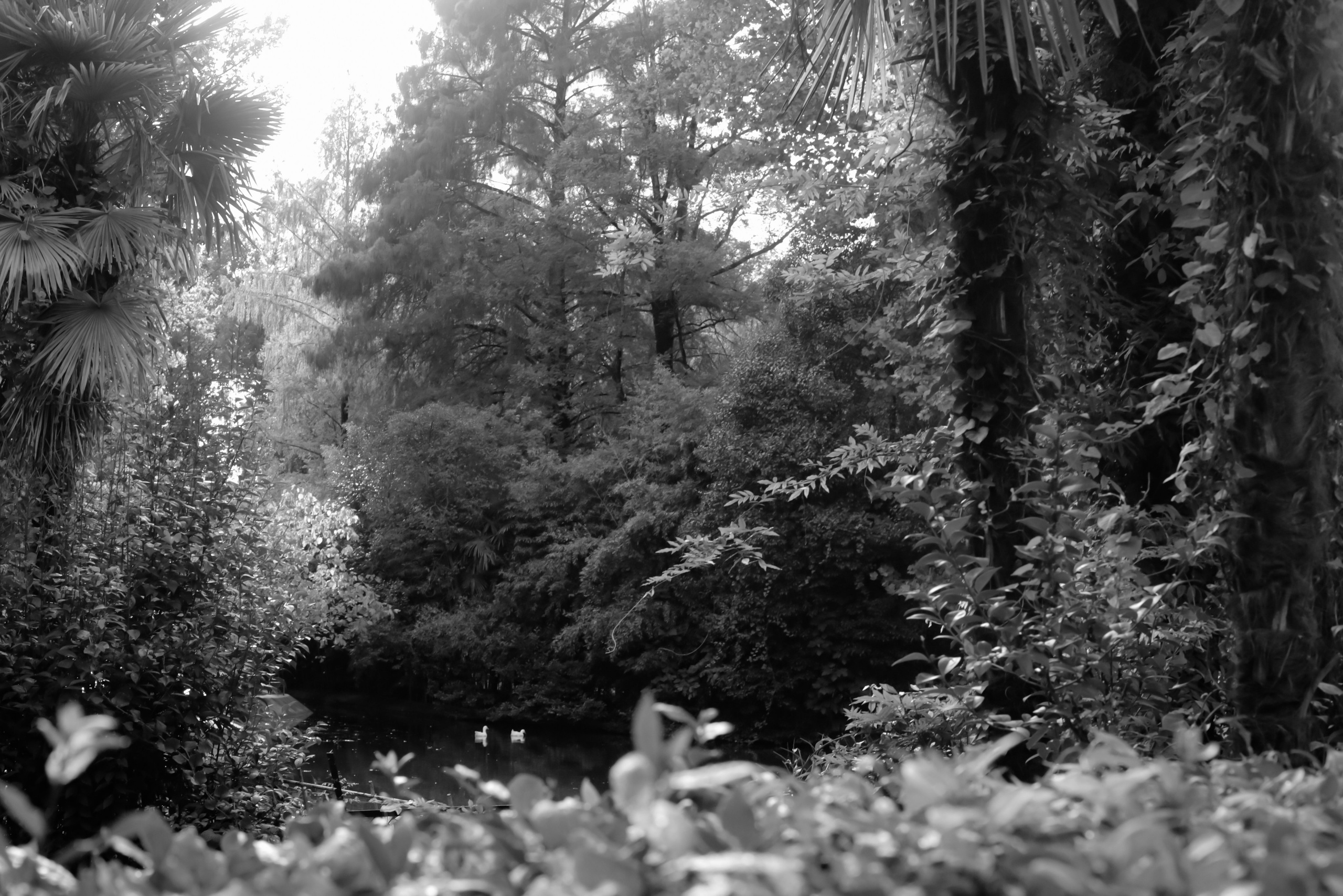 Пейзаж. Ekaterina Beridze