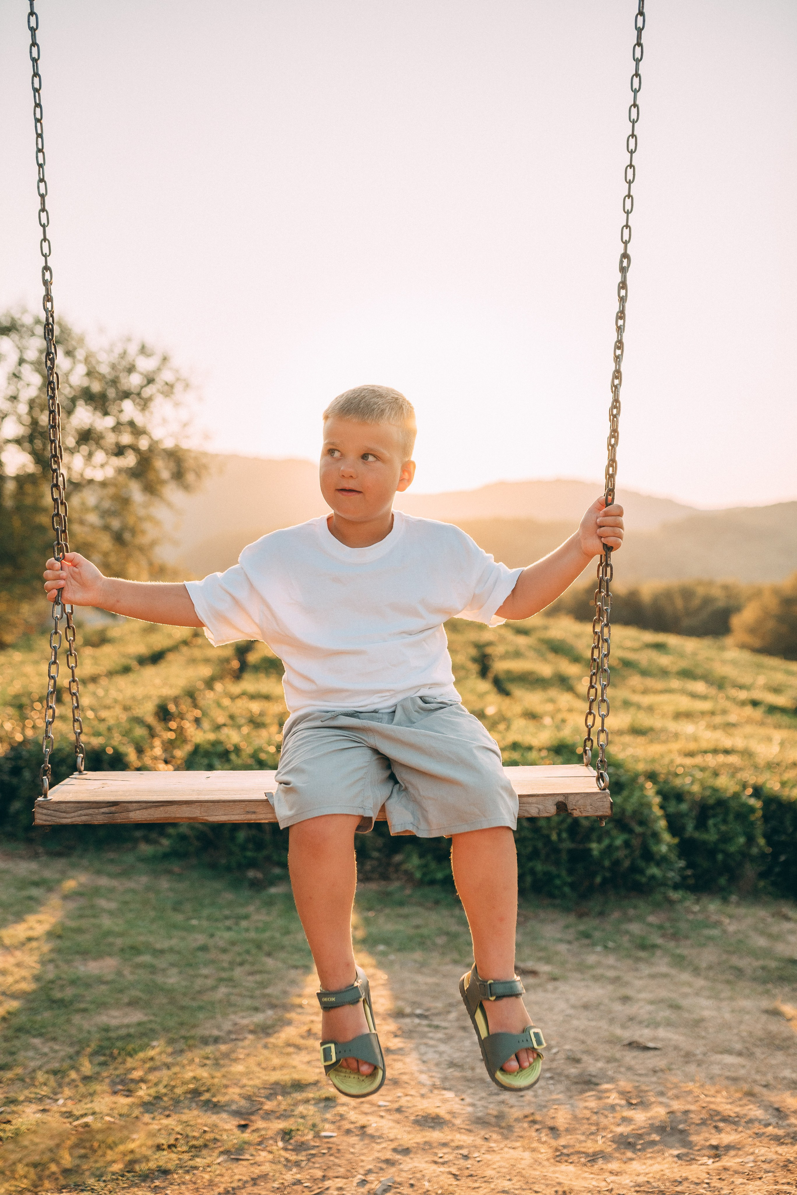 Чайные плантации 🌿✨. Фотограф в Сочи — Маргарита Поганова