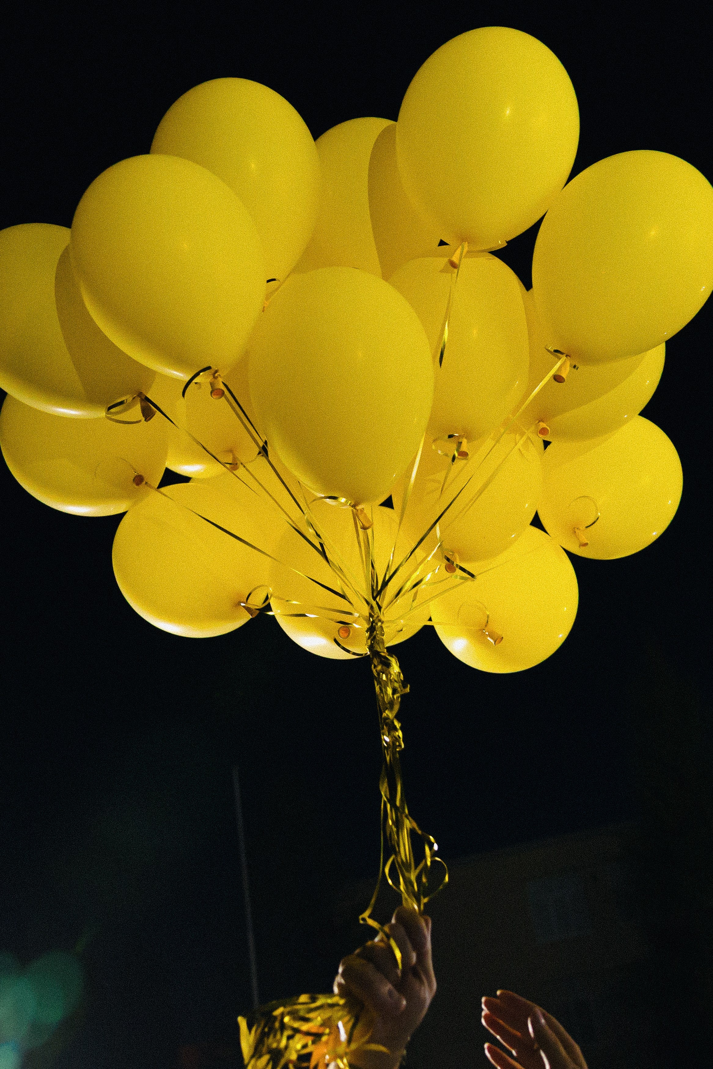 Вручение аттестатов. Свадебный фотограф Роман Еремеев