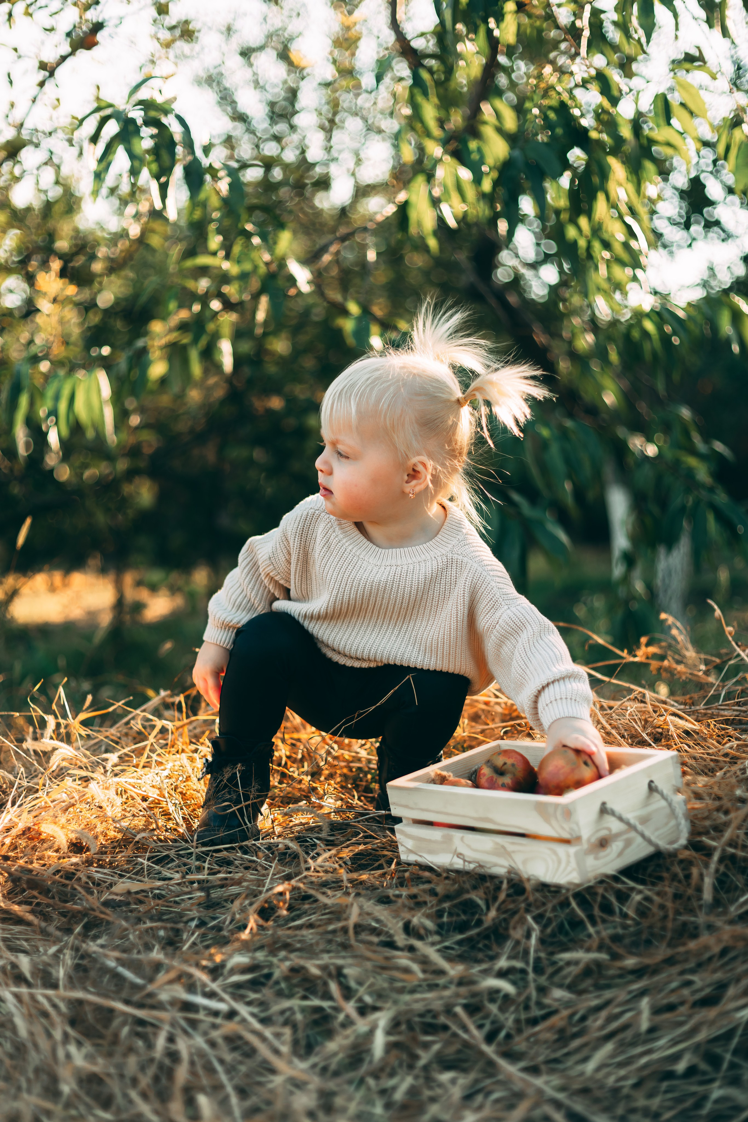 Детская фотосессия в тыквах. Свадебный и семейный фотограф в Краснодарском крае Мария Данилкина