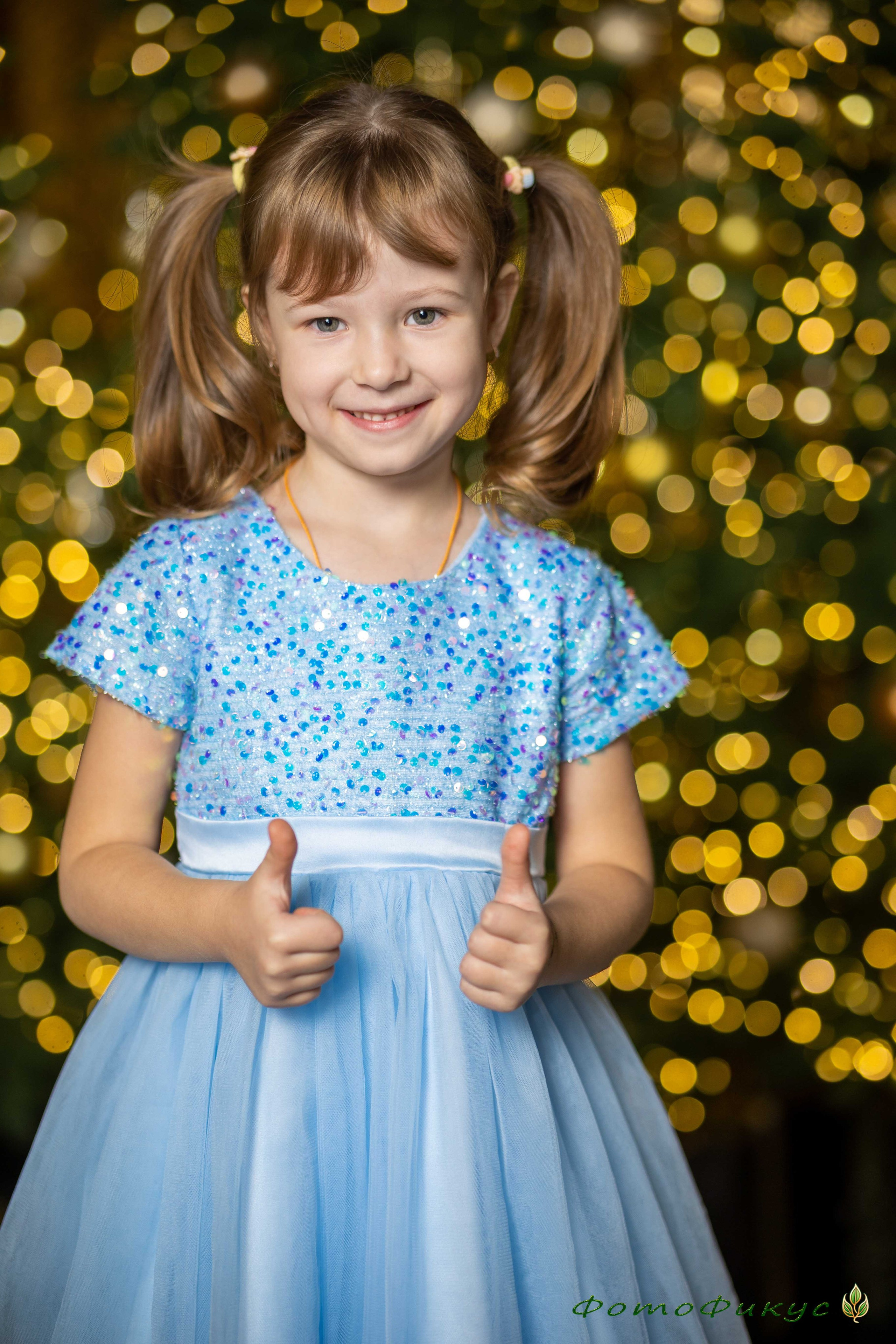 Новогодние. Фотографы Евгений и Екатерина. Фотофикус. Тюмень