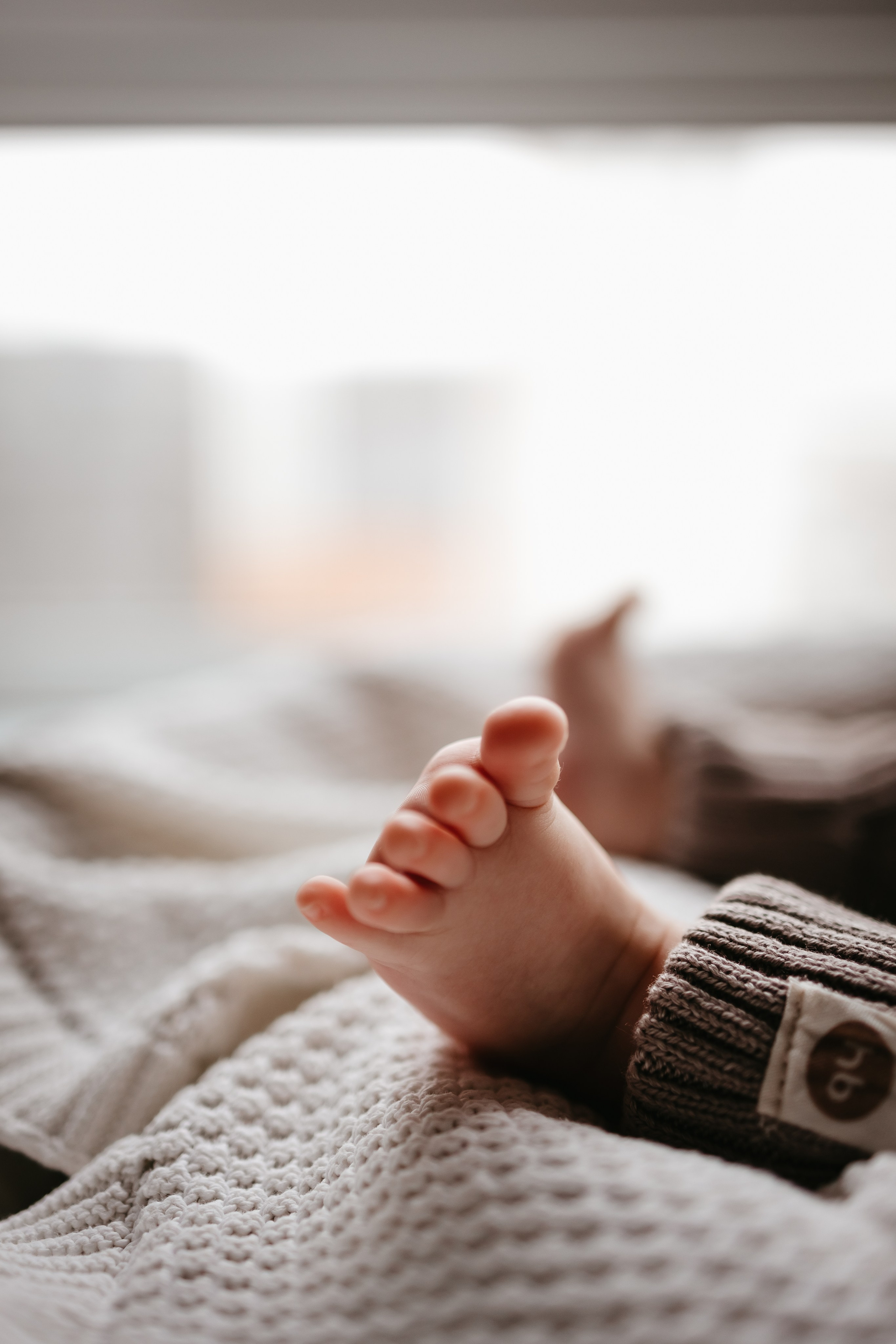 Лёва 2 месяца. Евгения Пелипас