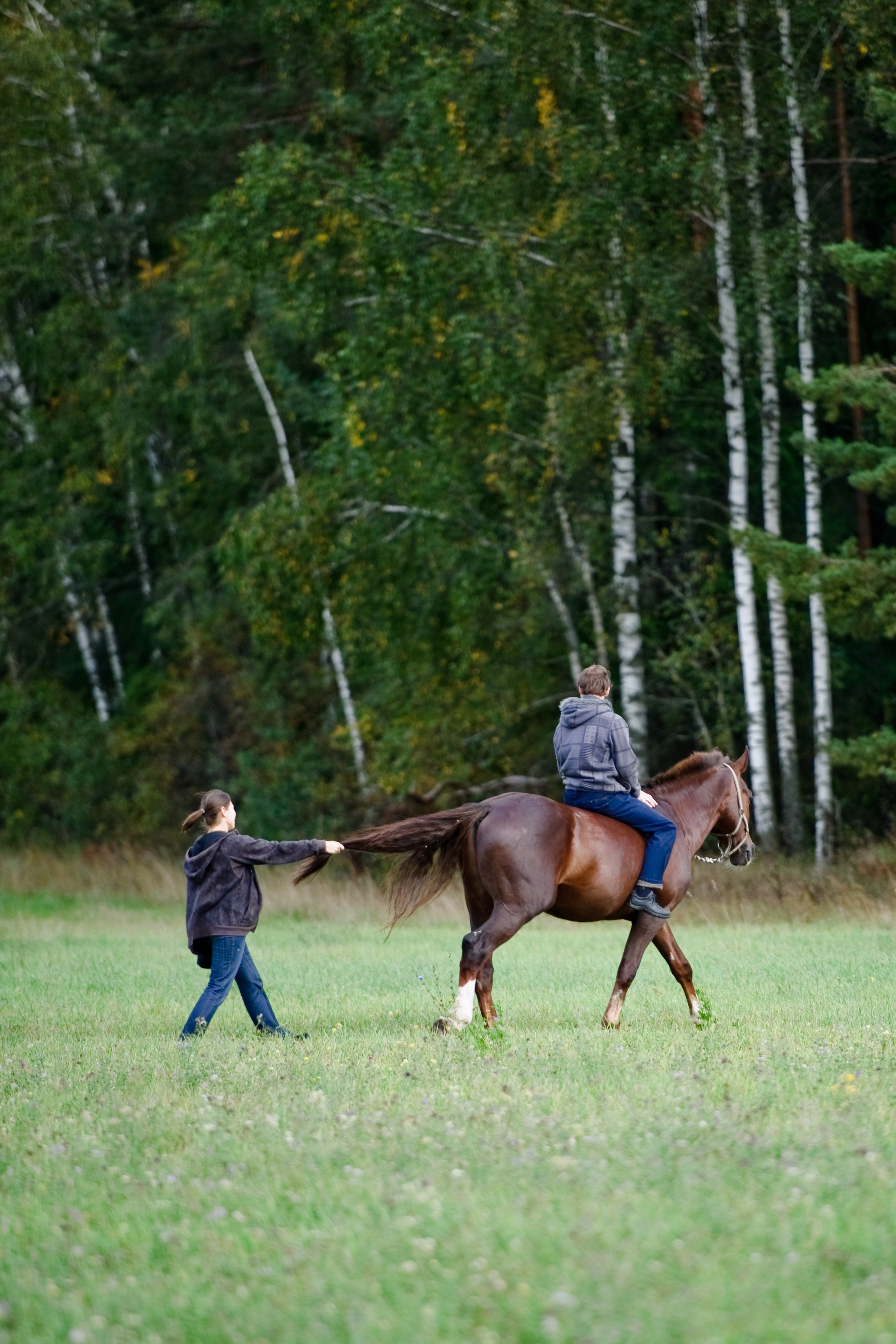 Татьяна и Алексей. В ожидании малыша. Семейный фотограф Анна Дубовская