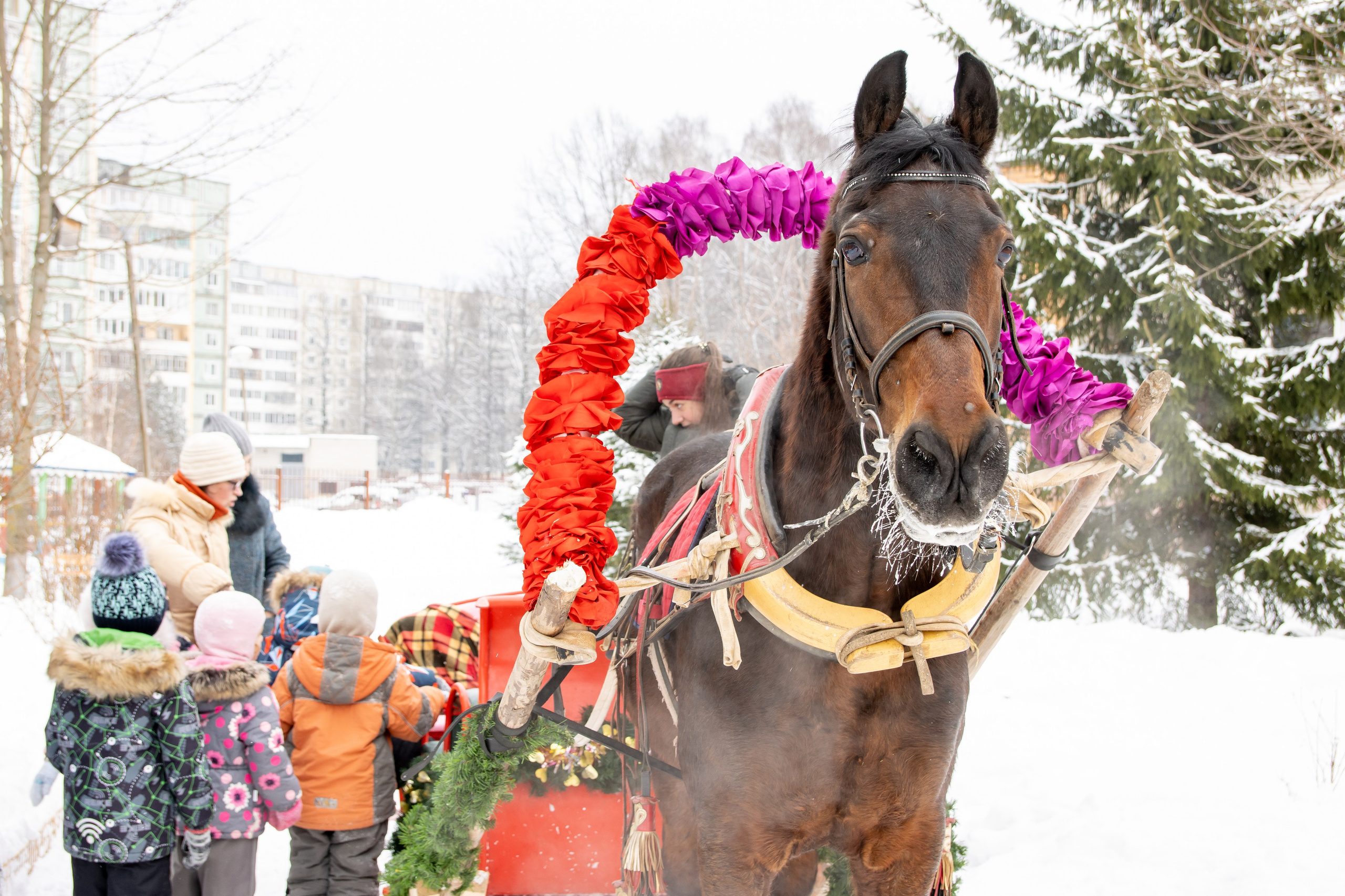 Съемки жизни в детском саду. Выпускные альбомы в Обнинске