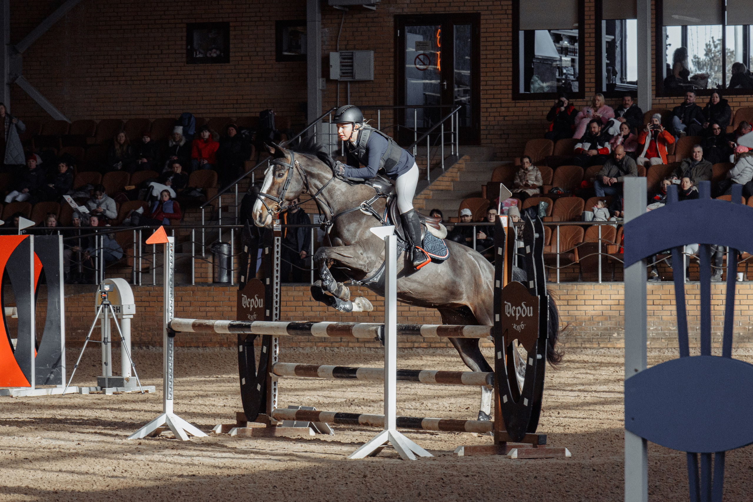 Лошади Евы Демидовой. Ева Демидова. Спортсмен по конкуру в Санкт-Петербуре