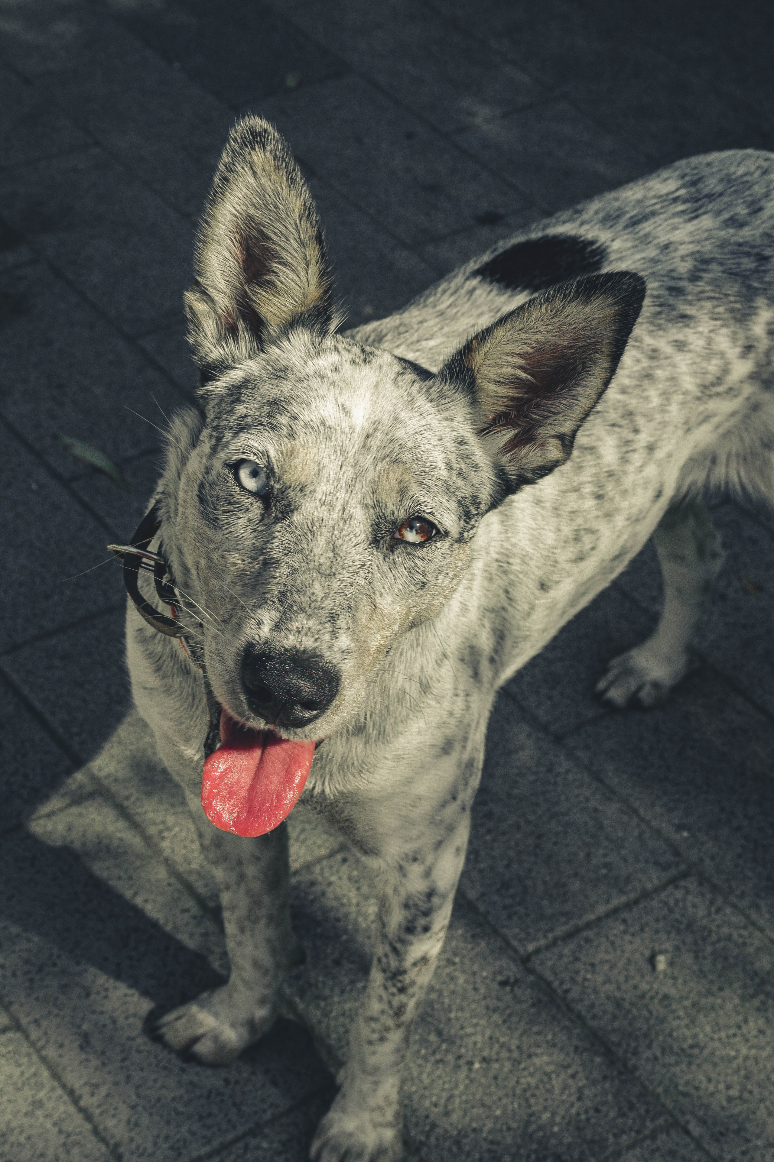 Цунами. Профессиональный фотограф