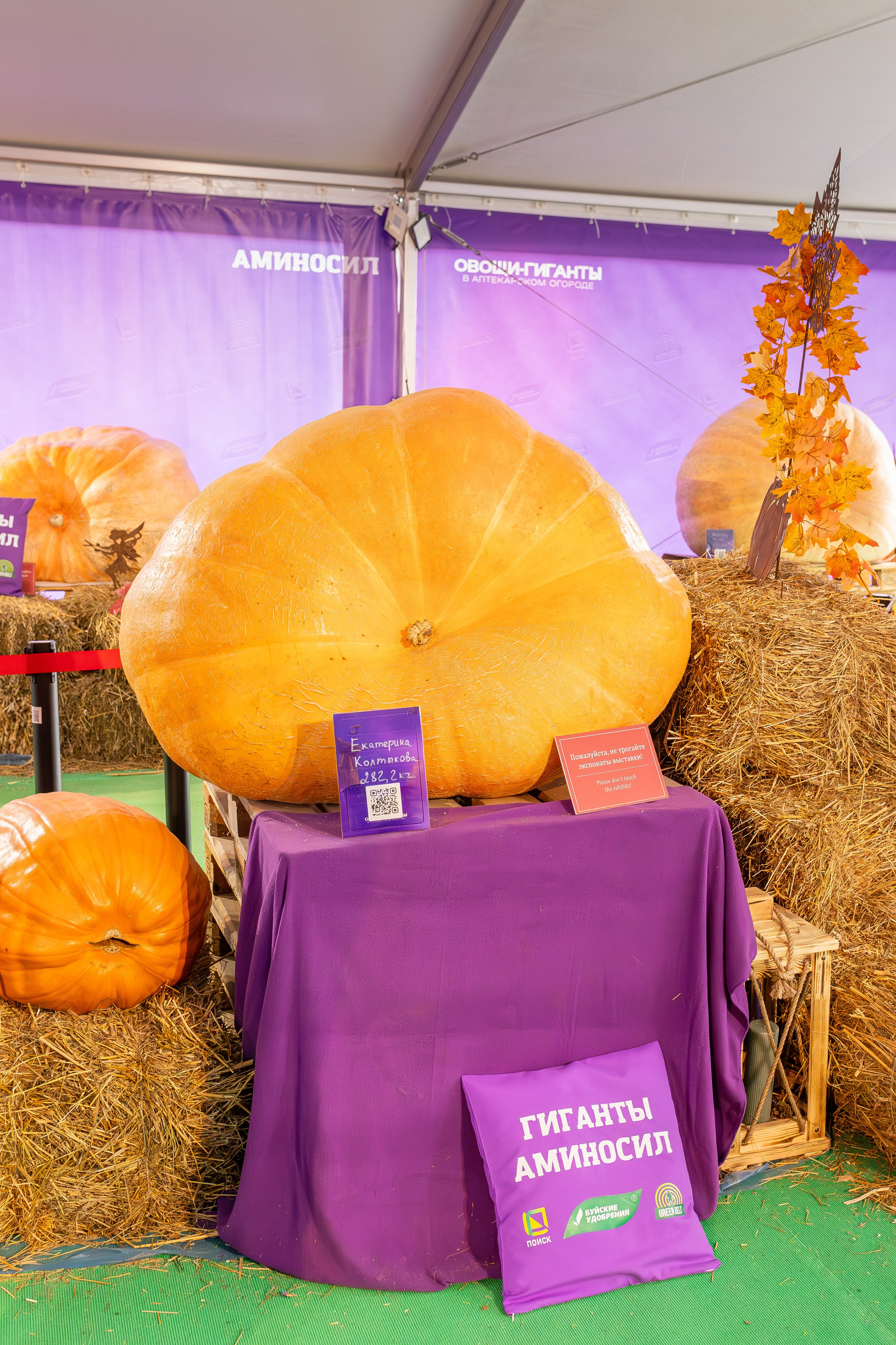 Овощи-гиганты. Александра Куликова фотограф, Москва