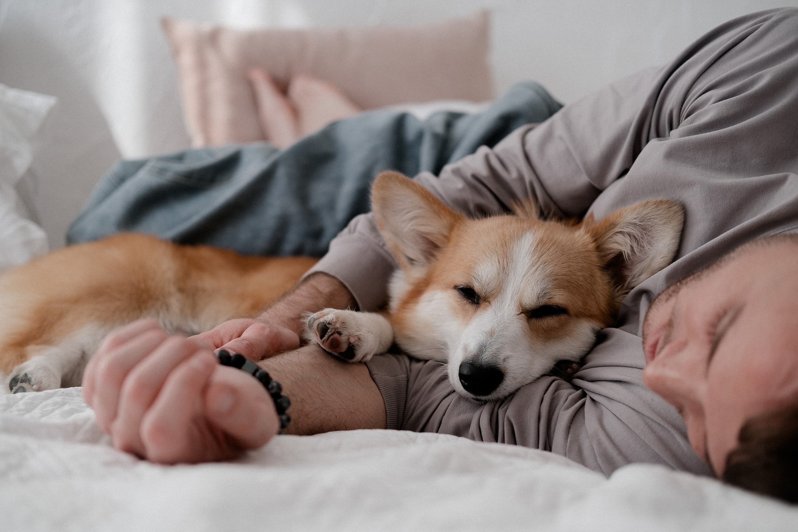 Радик. Свадебный и семейный фотограф в Казани и Зеленодольске Ланочкин Илья