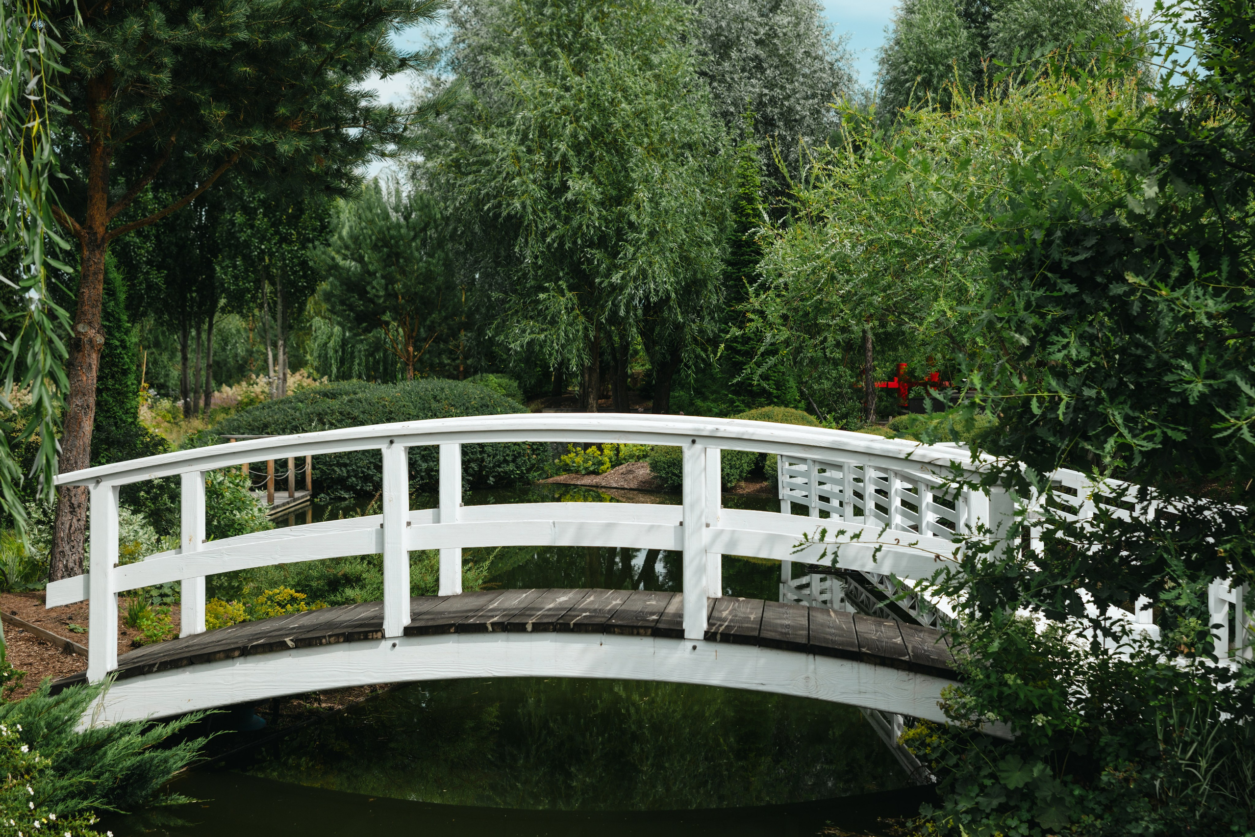 Полина. Семейный фотограф и видеограф в Тюмени Анна Жагорина