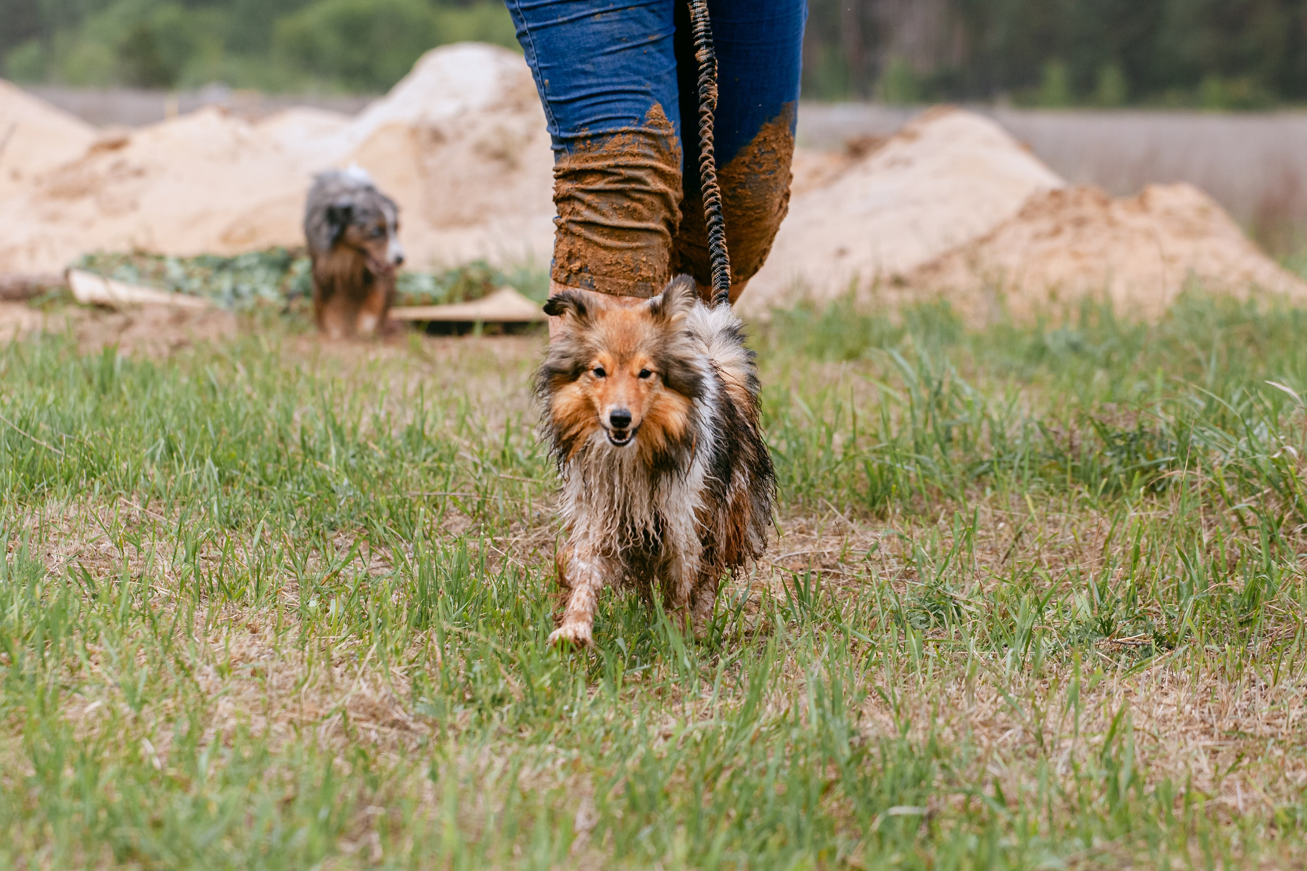 Русский экстрим кросс в Рязанской области 17.05.2025. Фотограф-анималист Татьяна Степанова