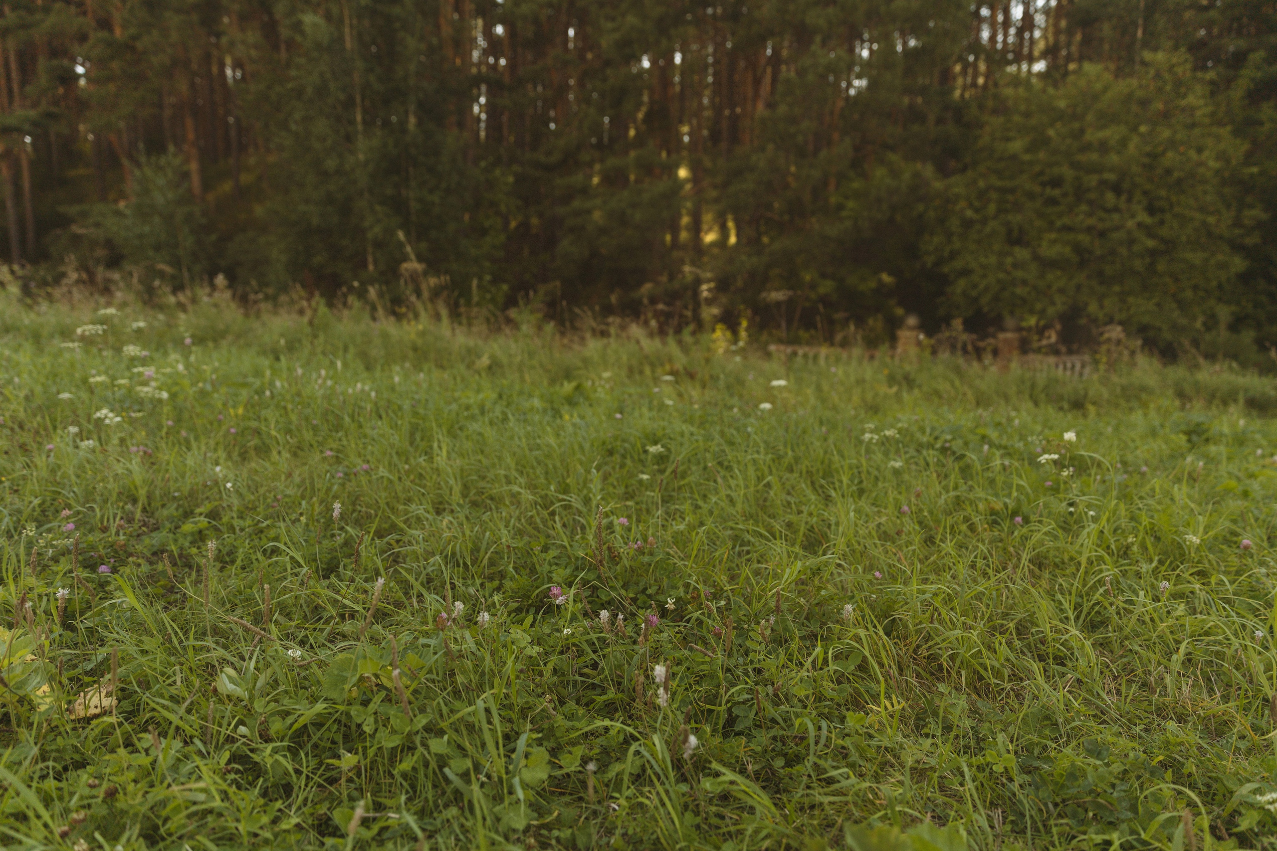 Виталий и Анастасия