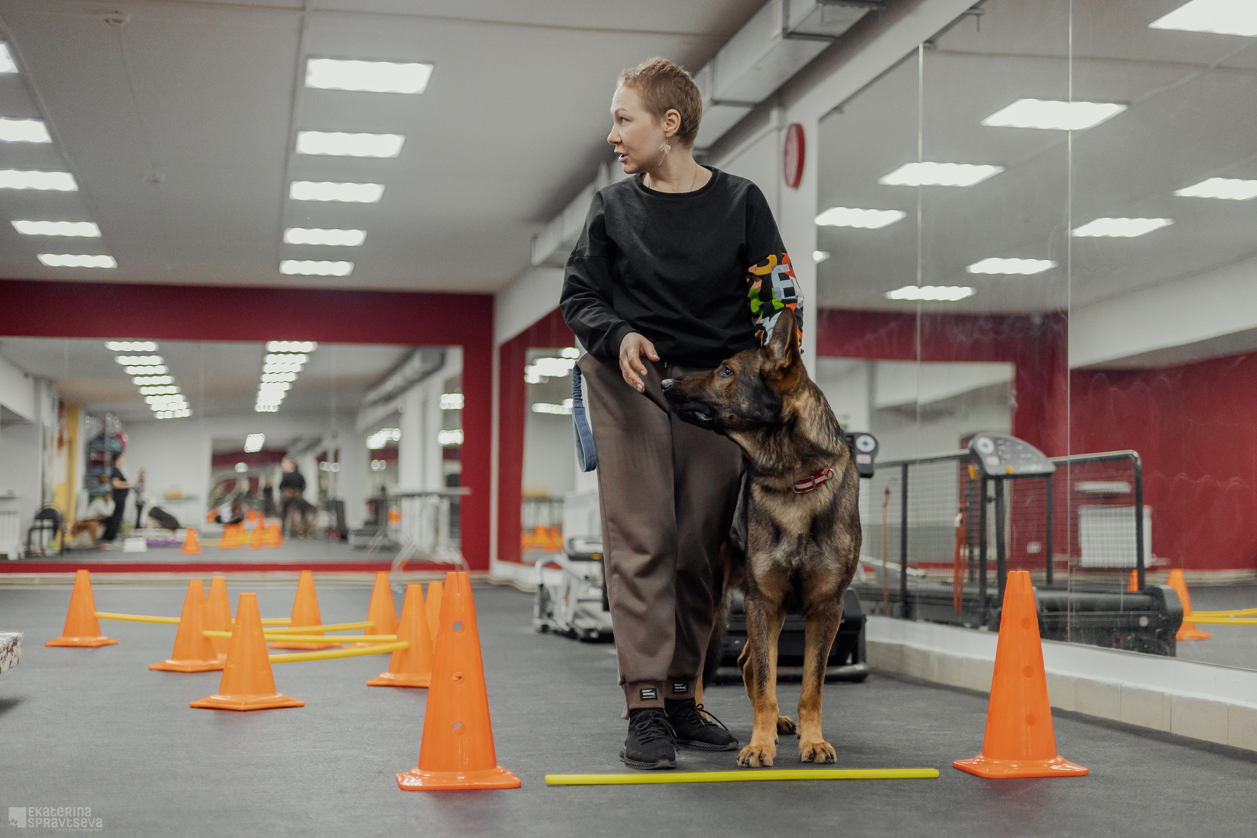 NoseWork. Фотограф Анималист Екатерина Справцева в Нижнем Новгороде