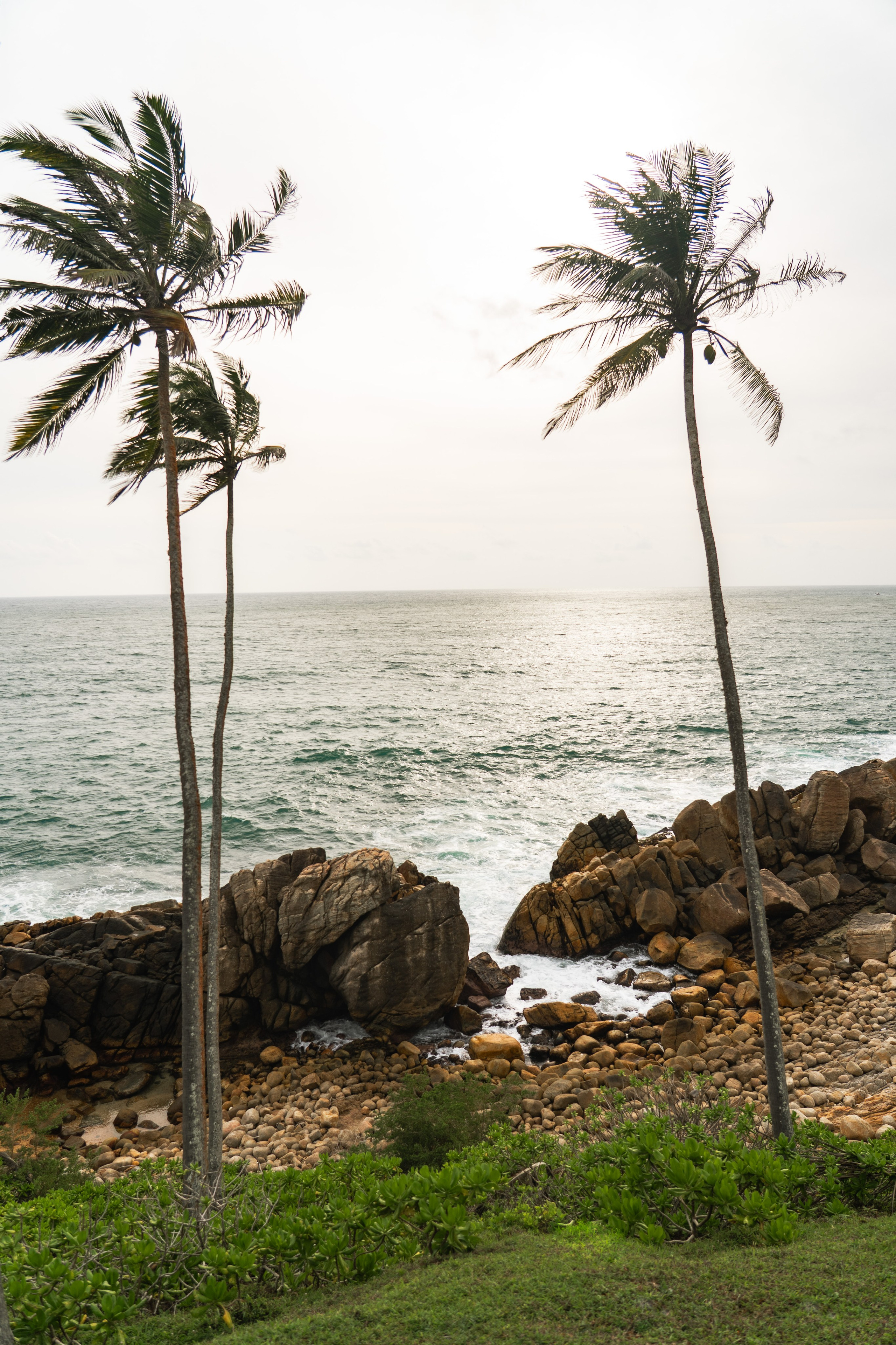 Пляжи Шри-ланки для фотосессий