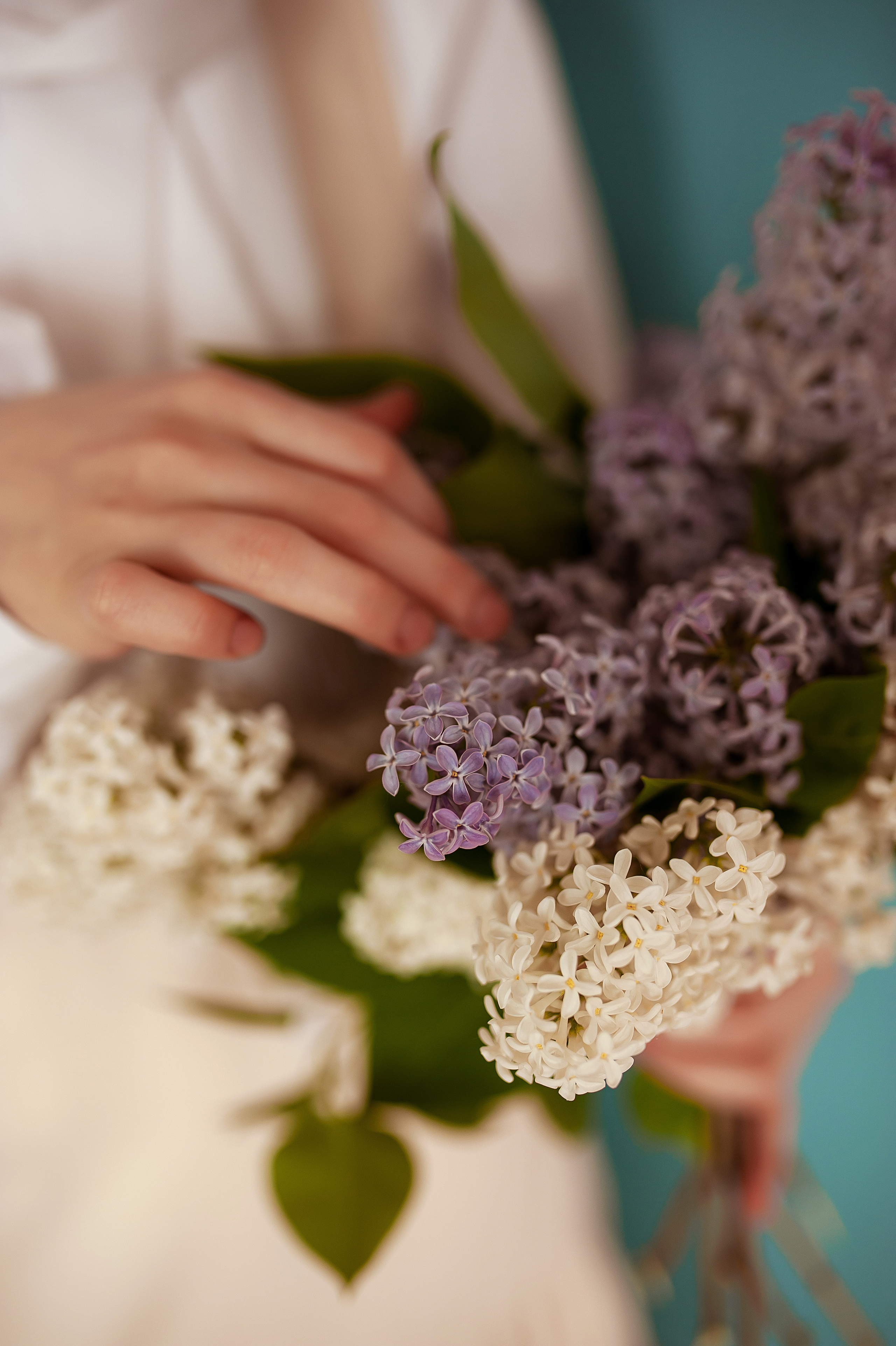 Кондитер Паризод. Фотограф Светлана Васильева