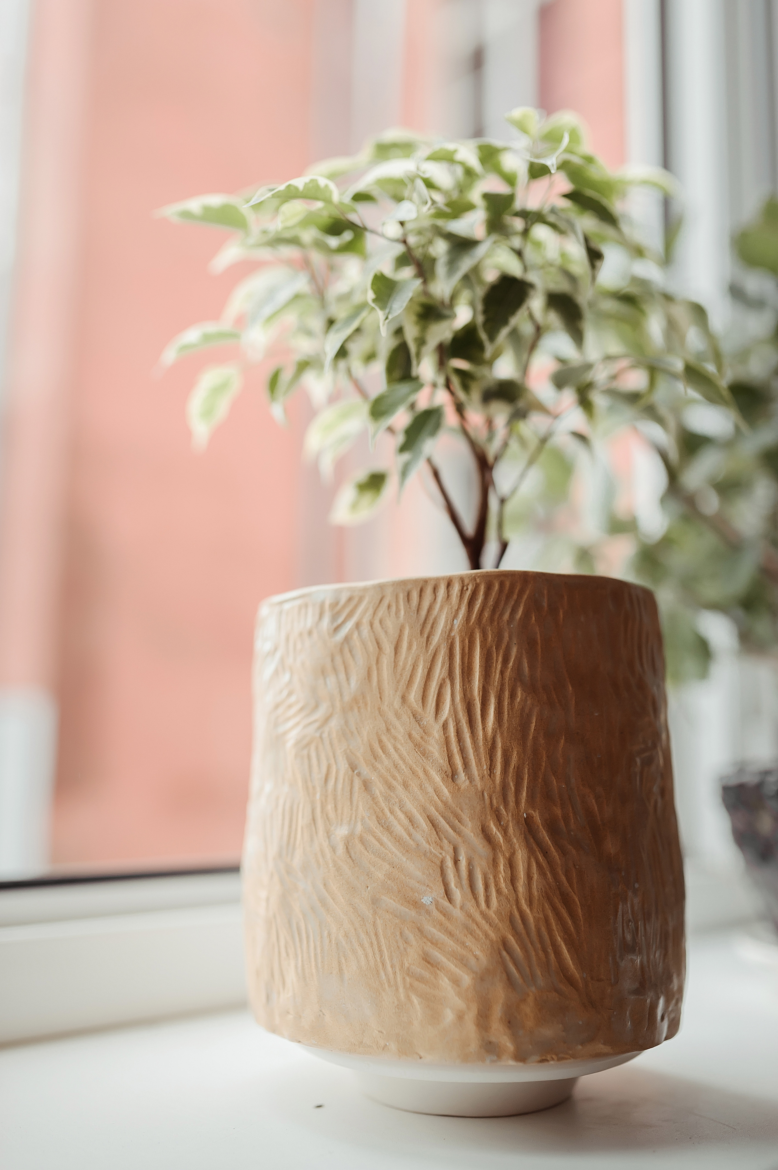 DiArt Ceramics. Фотограф Светлана Васильева