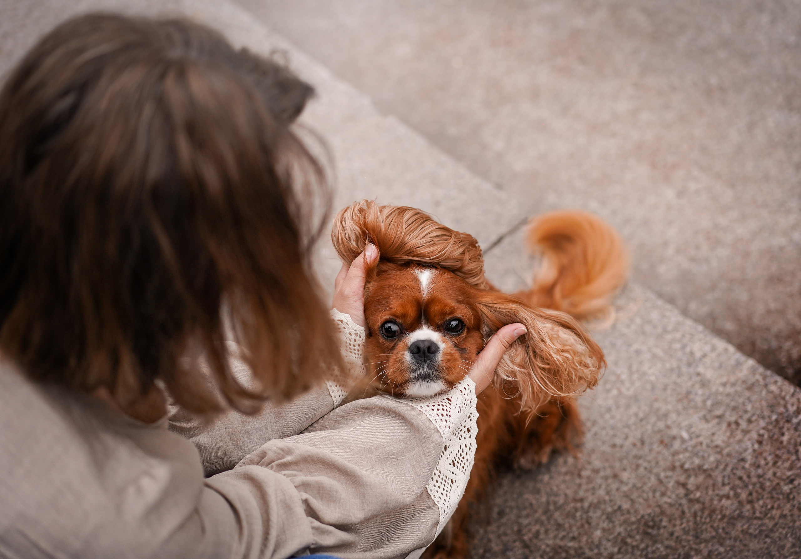 Юля Володя Гарри и Верон. Фотограф-анималист в Санкт-Петербурге Яна Мартынова