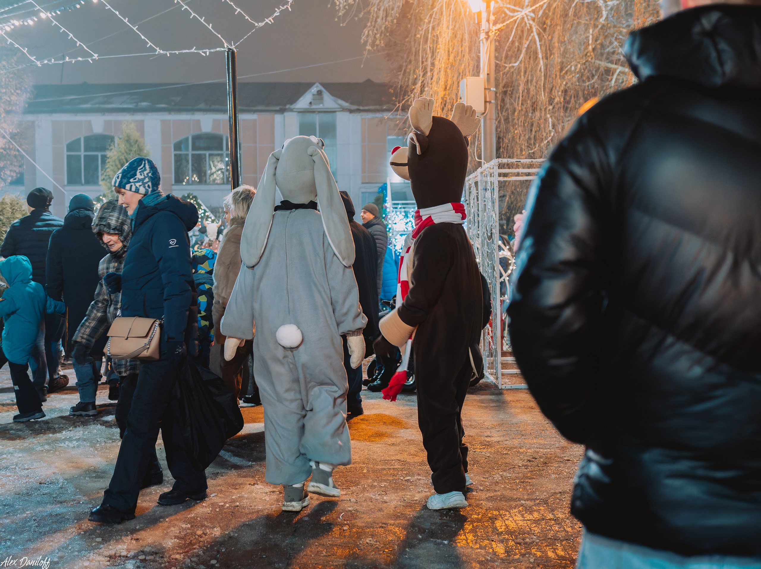 Открытие новогоднего городка. Новости Мурома. Муром-Инфо