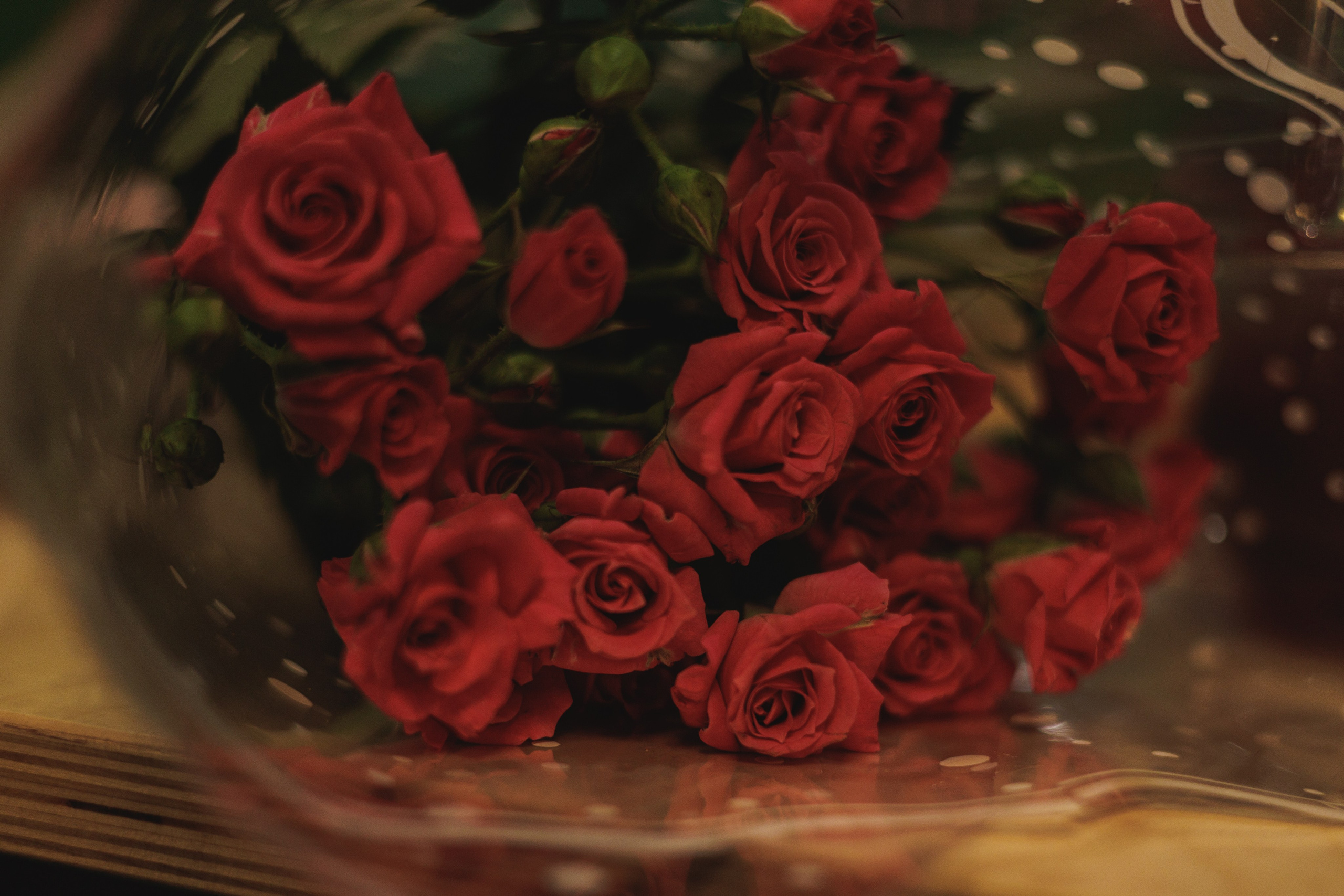 Василисе 5 лет. Фотограф в Раменском и Москве |Татьяна Конарева