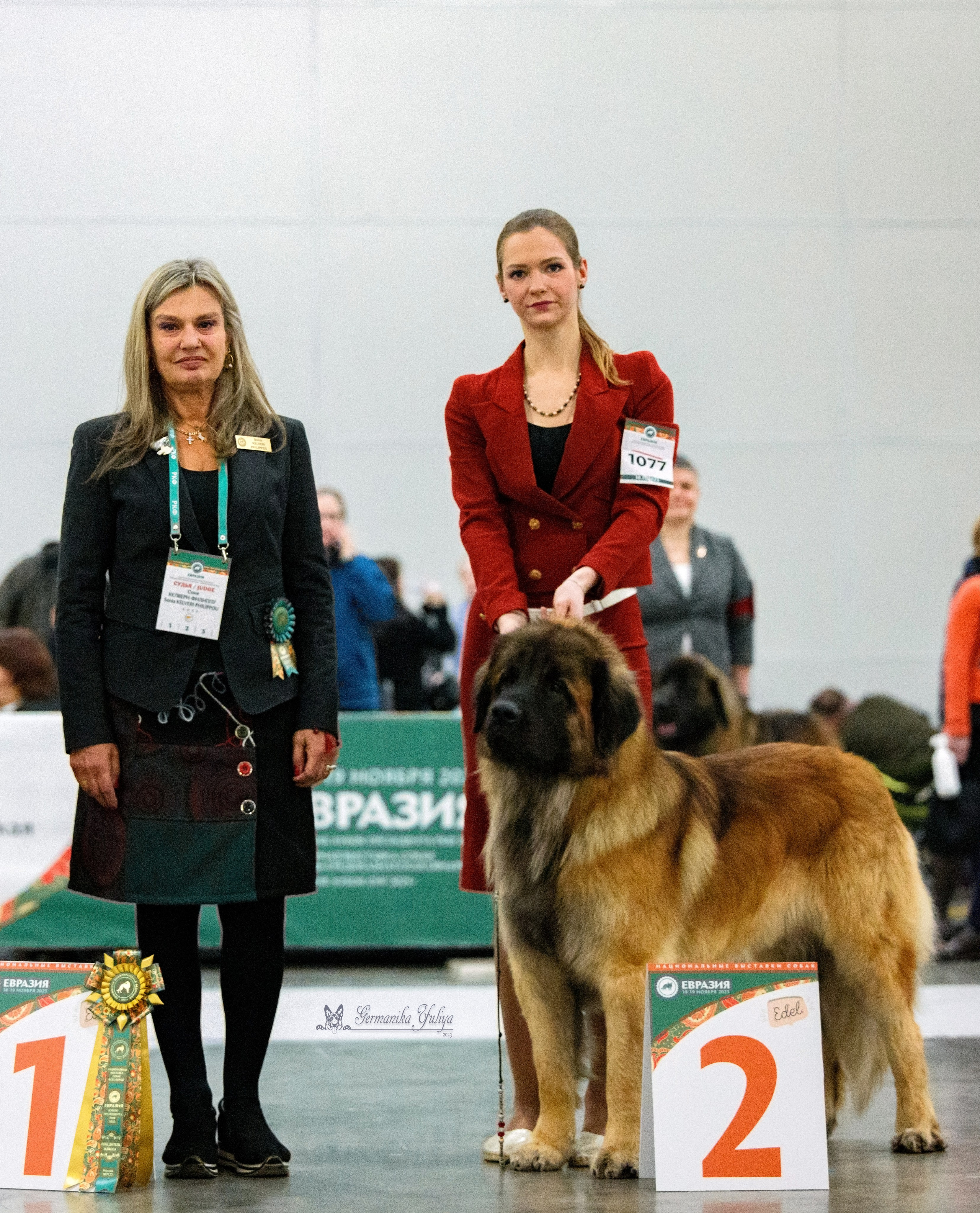 ЕВРАЗИЯ 18-19.11.2023. Фотограф-анималист Юлия Германика