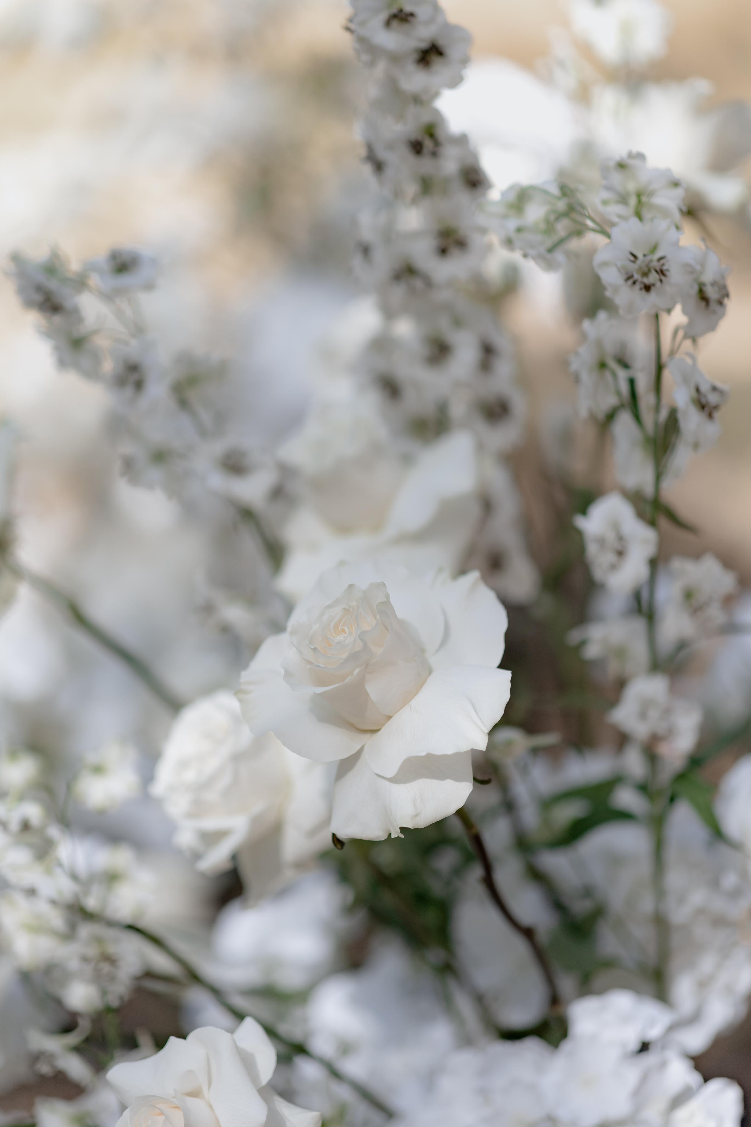 Alexey & Nastya 2 September, Brest. Свадебный фотограф Кристина Винокурова