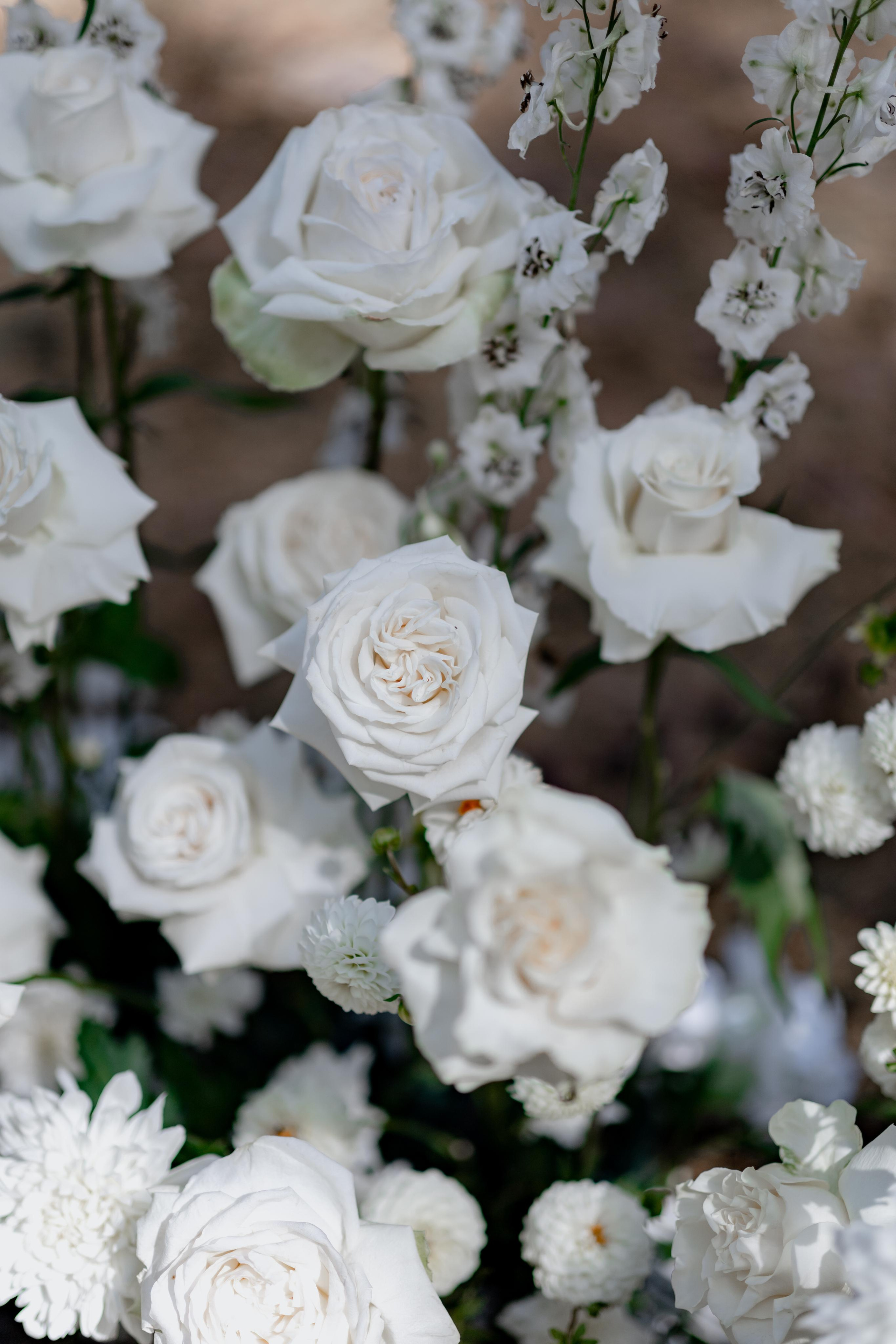 Alexey & Nastya 2 September, Brest. Свадебный фотограф Кристина Винокурова