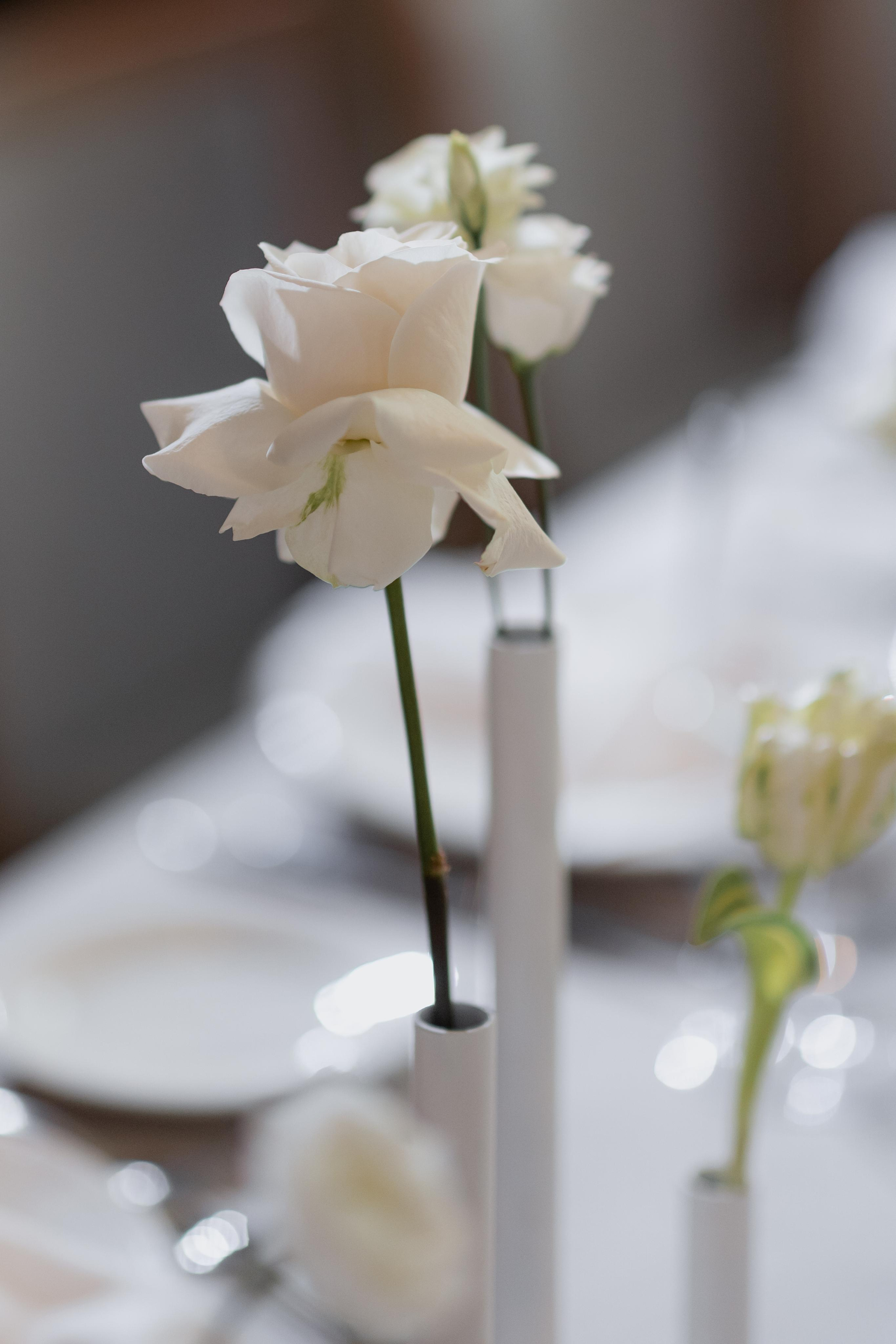 Alexey & Nastya 2 September, Brest. Свадебный фотограф Кристина Винокурова