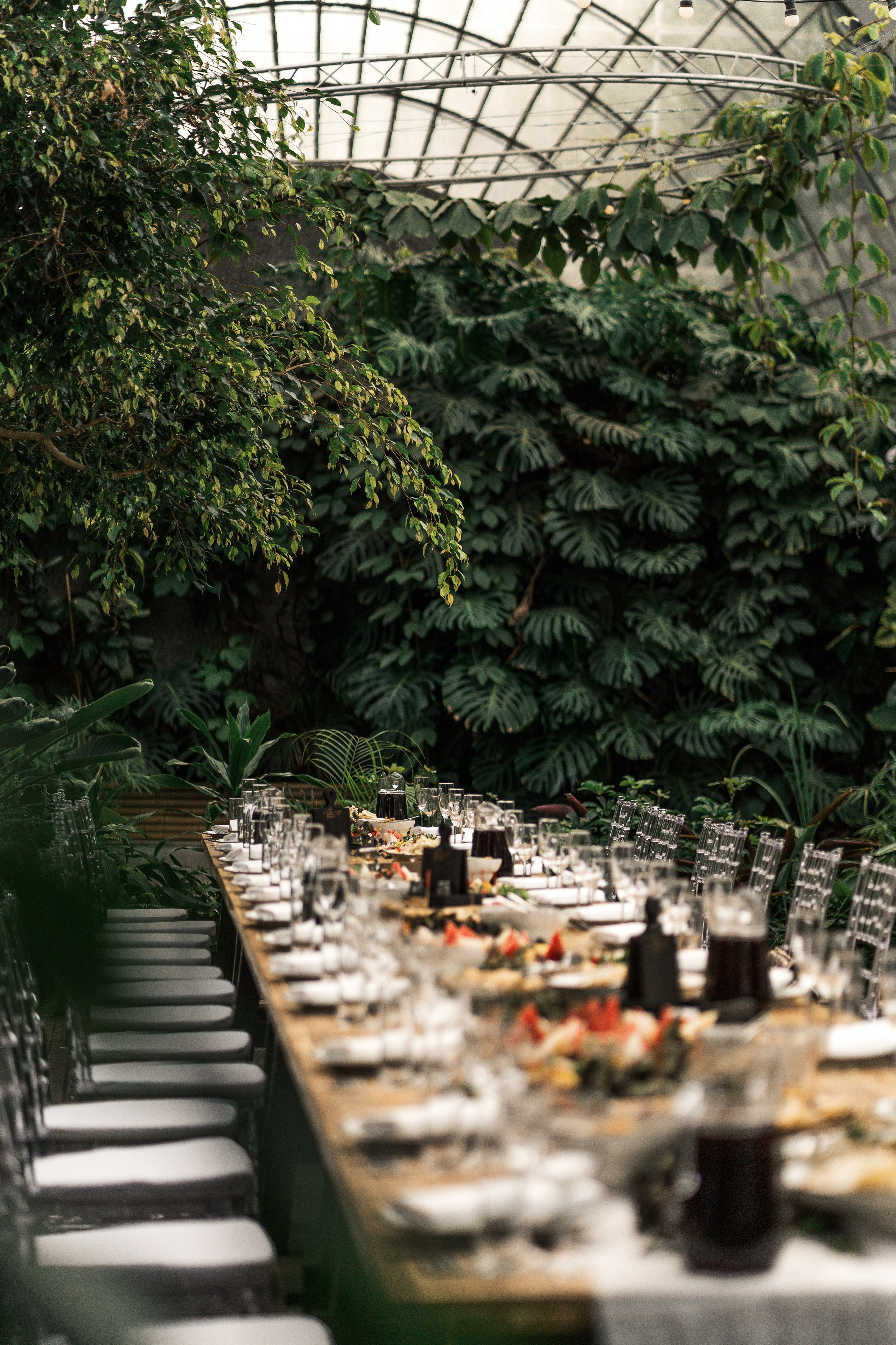 Свадебная фотосессия оранжерее. Анастасия Кузнецова — фотограф в Санкт-Петербурге