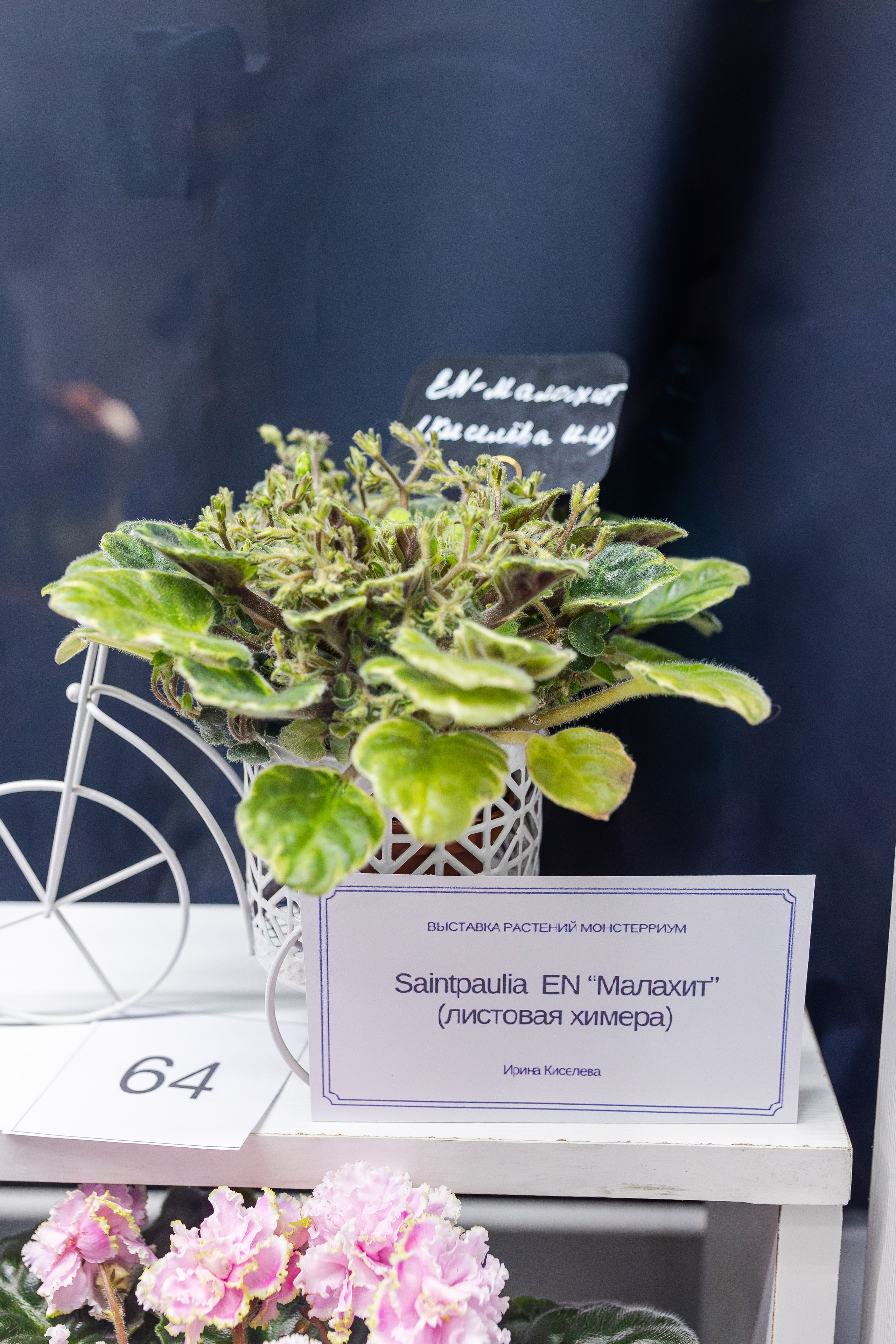 Монстериум апрель 2026. Александра Куликова фотограф, Москва