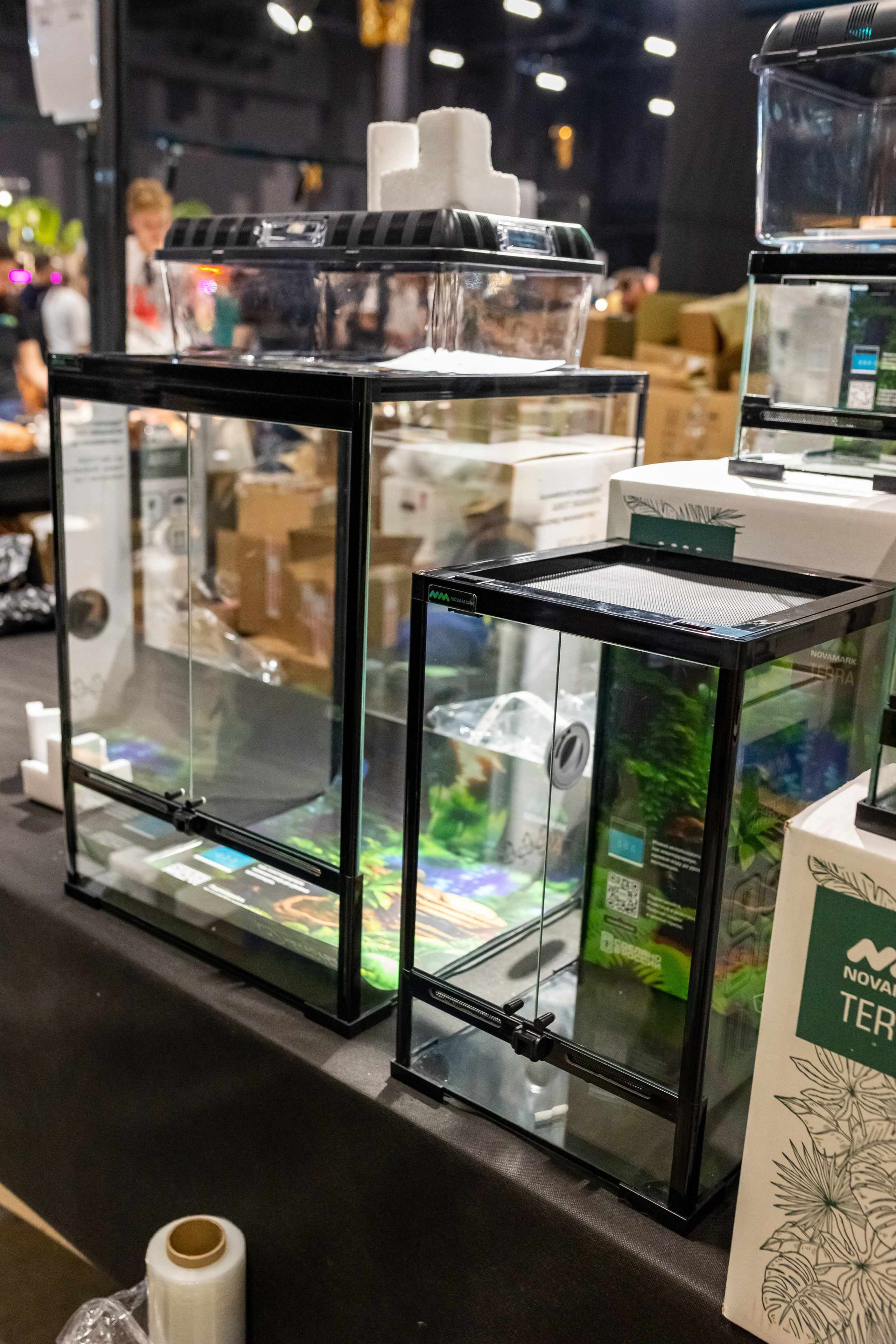 Рептилиум 2024. Александра Куликова фотограф, Москва