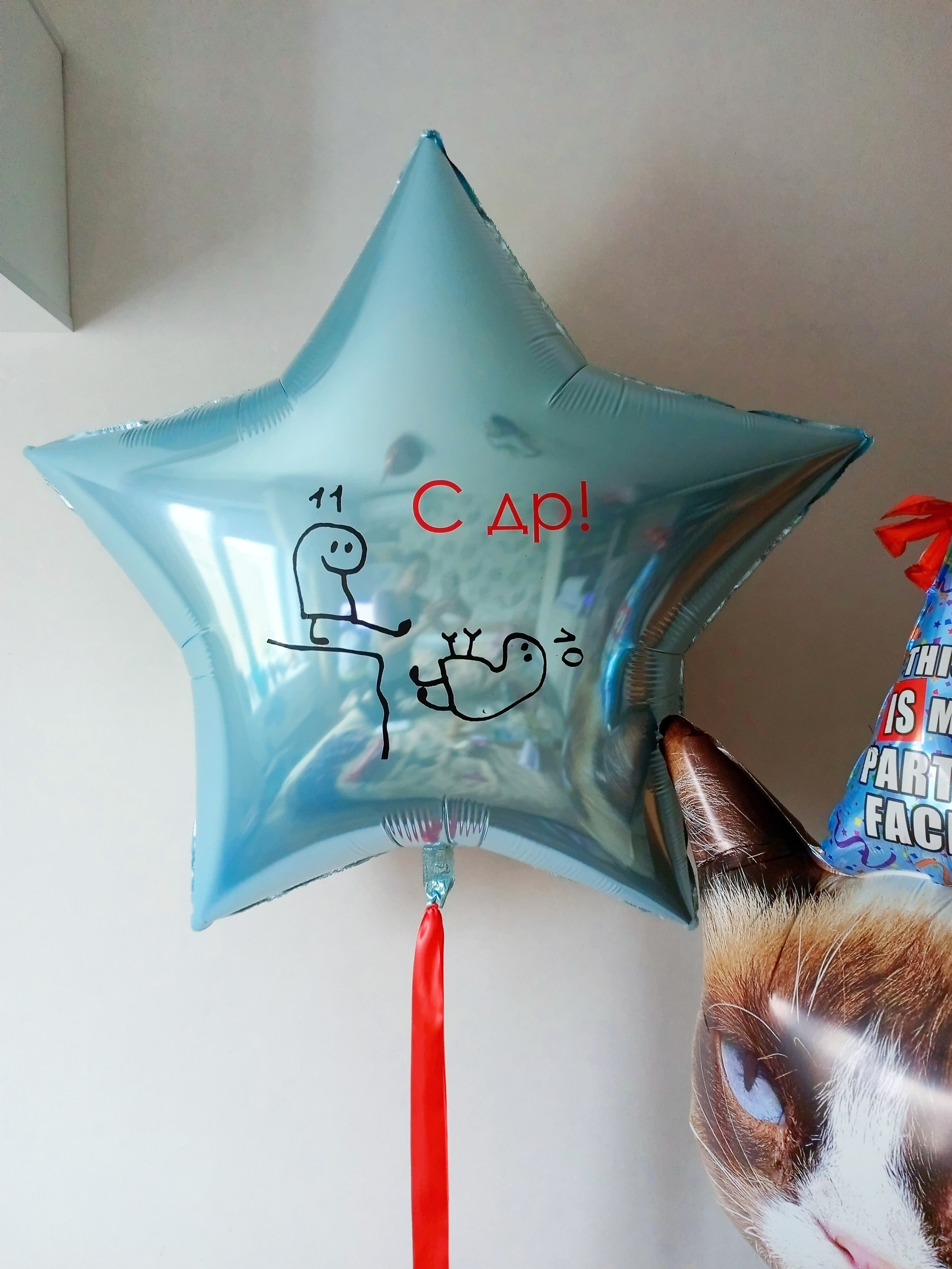 Мальчику на день рождения с 4 -17 лет. Аэродизайнер Елена Лин