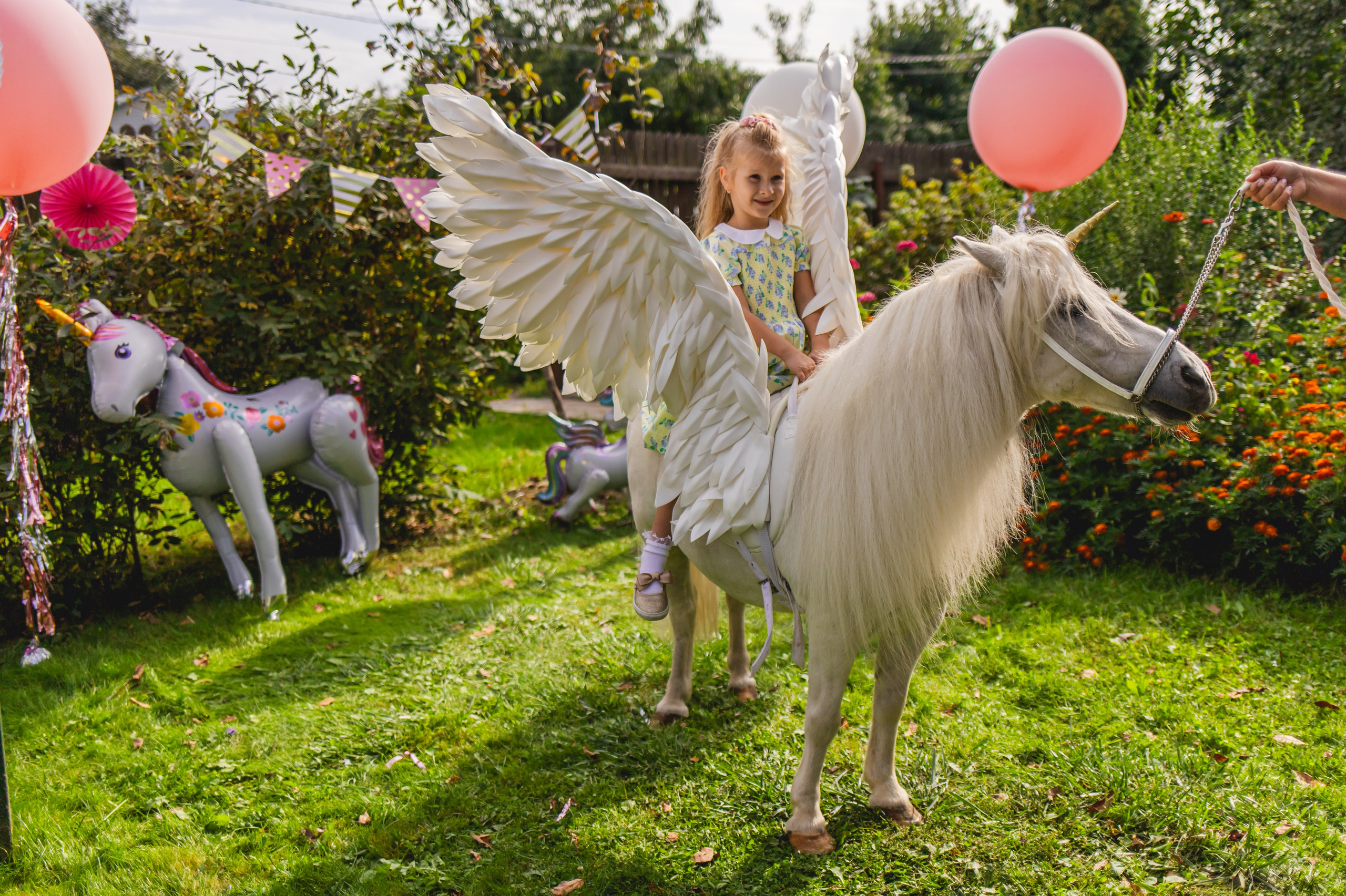 День Рождения Элизабет 🎂