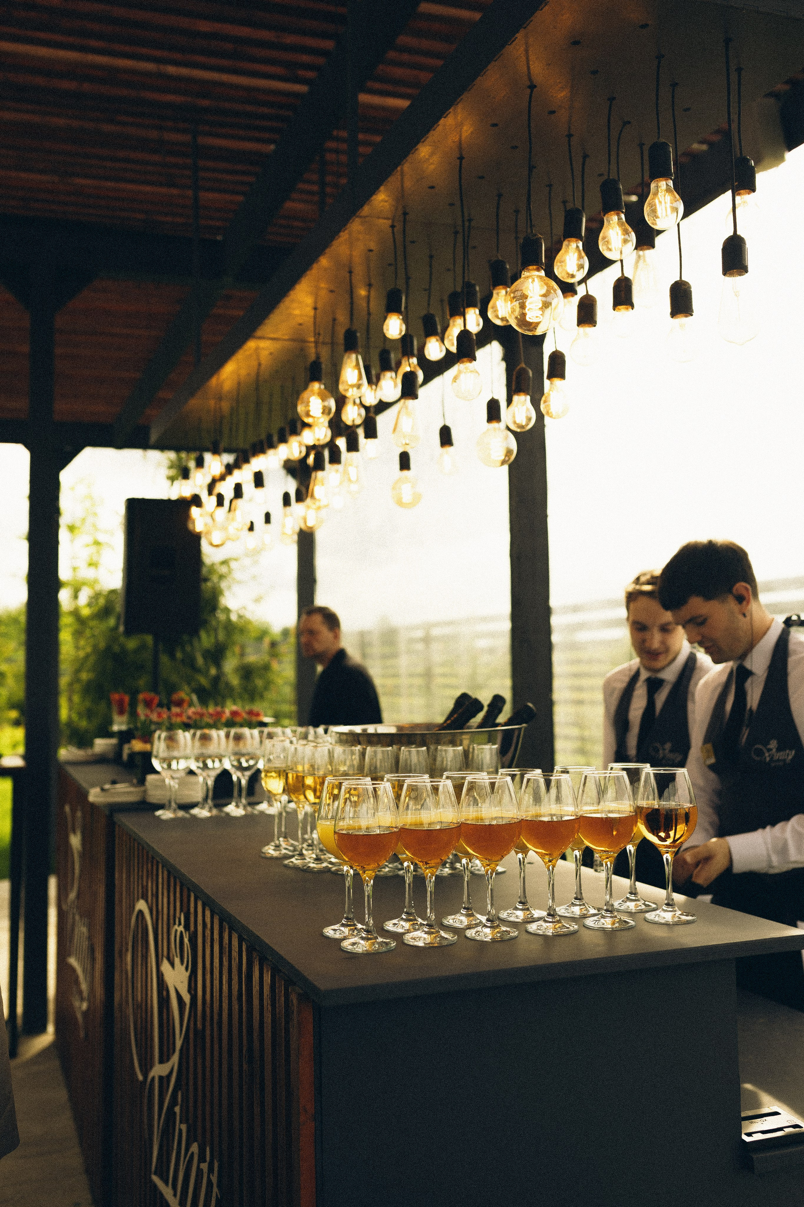 Vinity Forest. Фотограф Анастасия Платонова | Санкт-Петербург