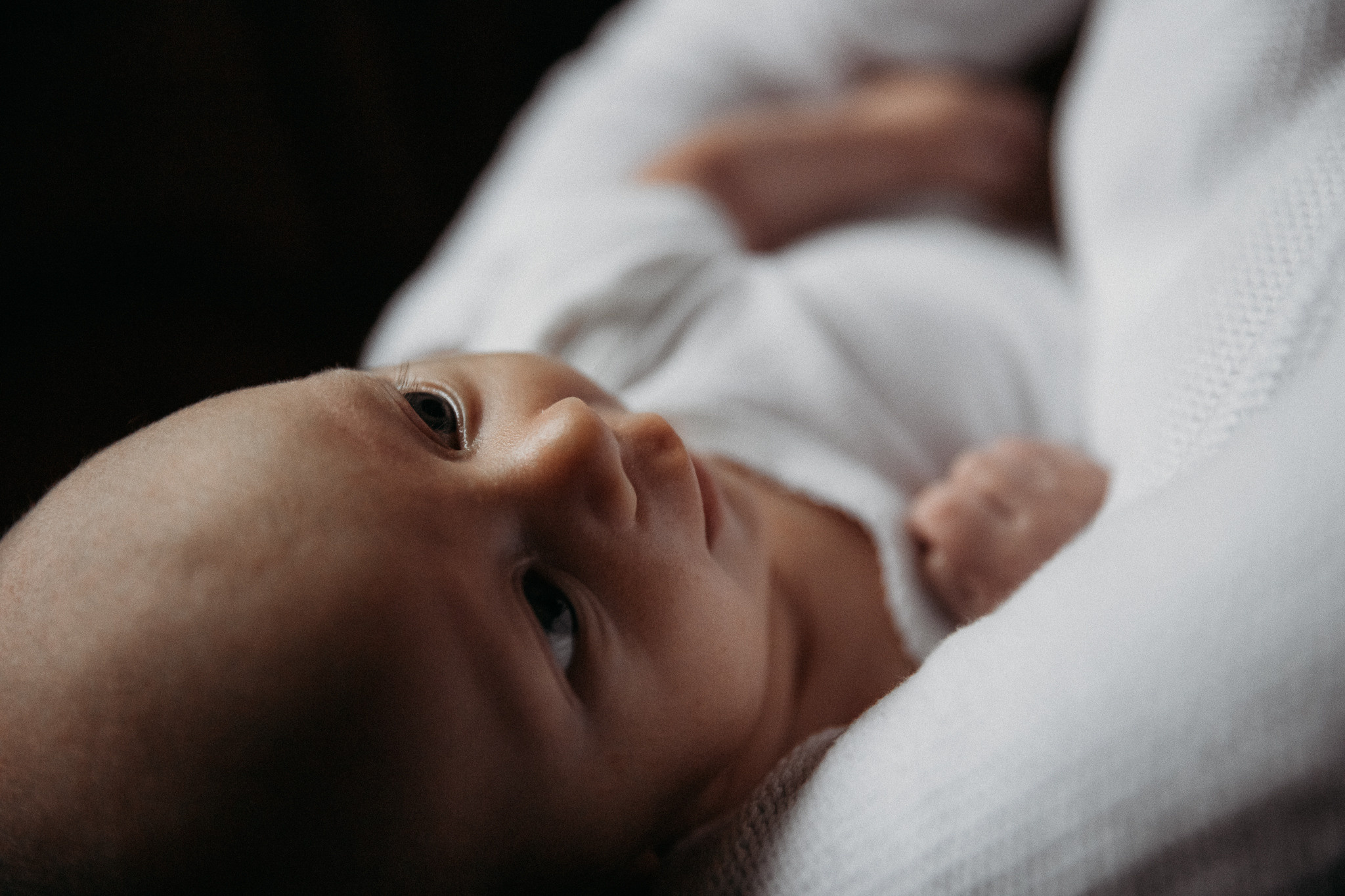 Домашняя фотосессия. Event