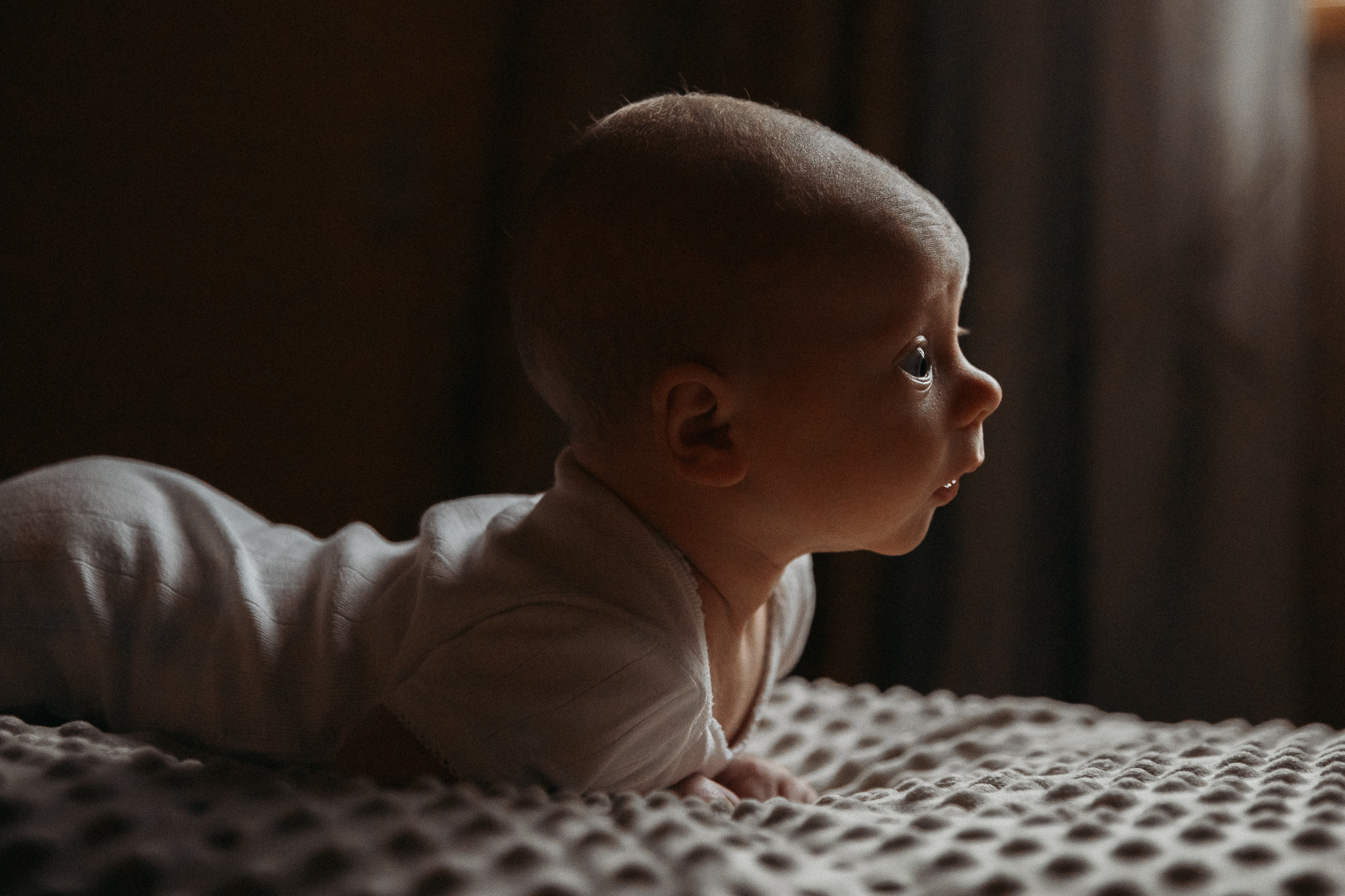 Домашняя фотосессия. Event