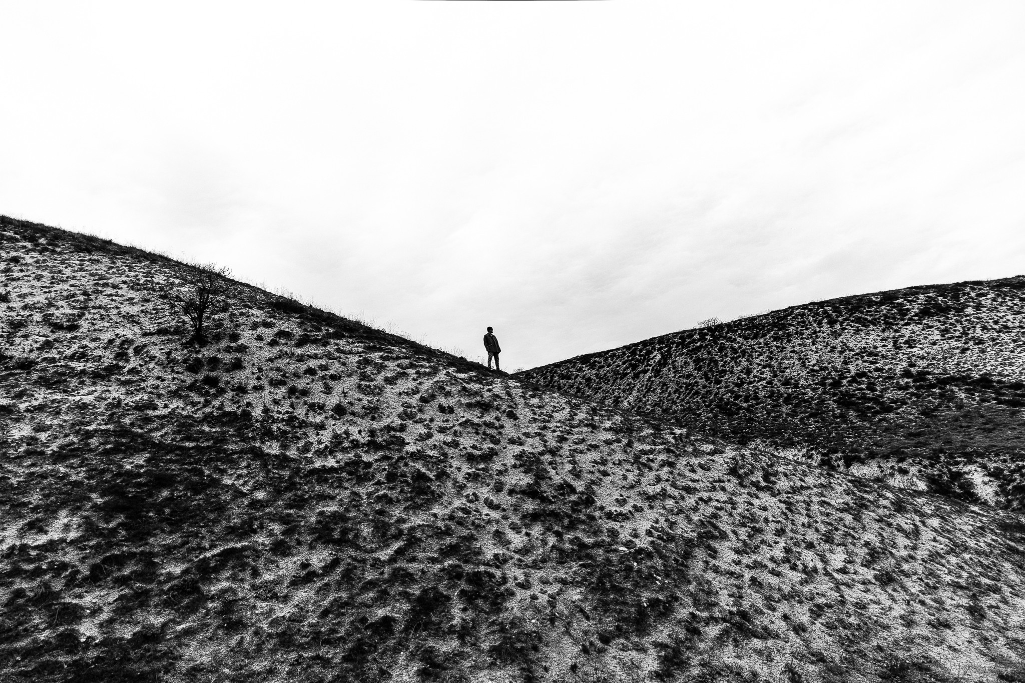 Тася и Дима. Event