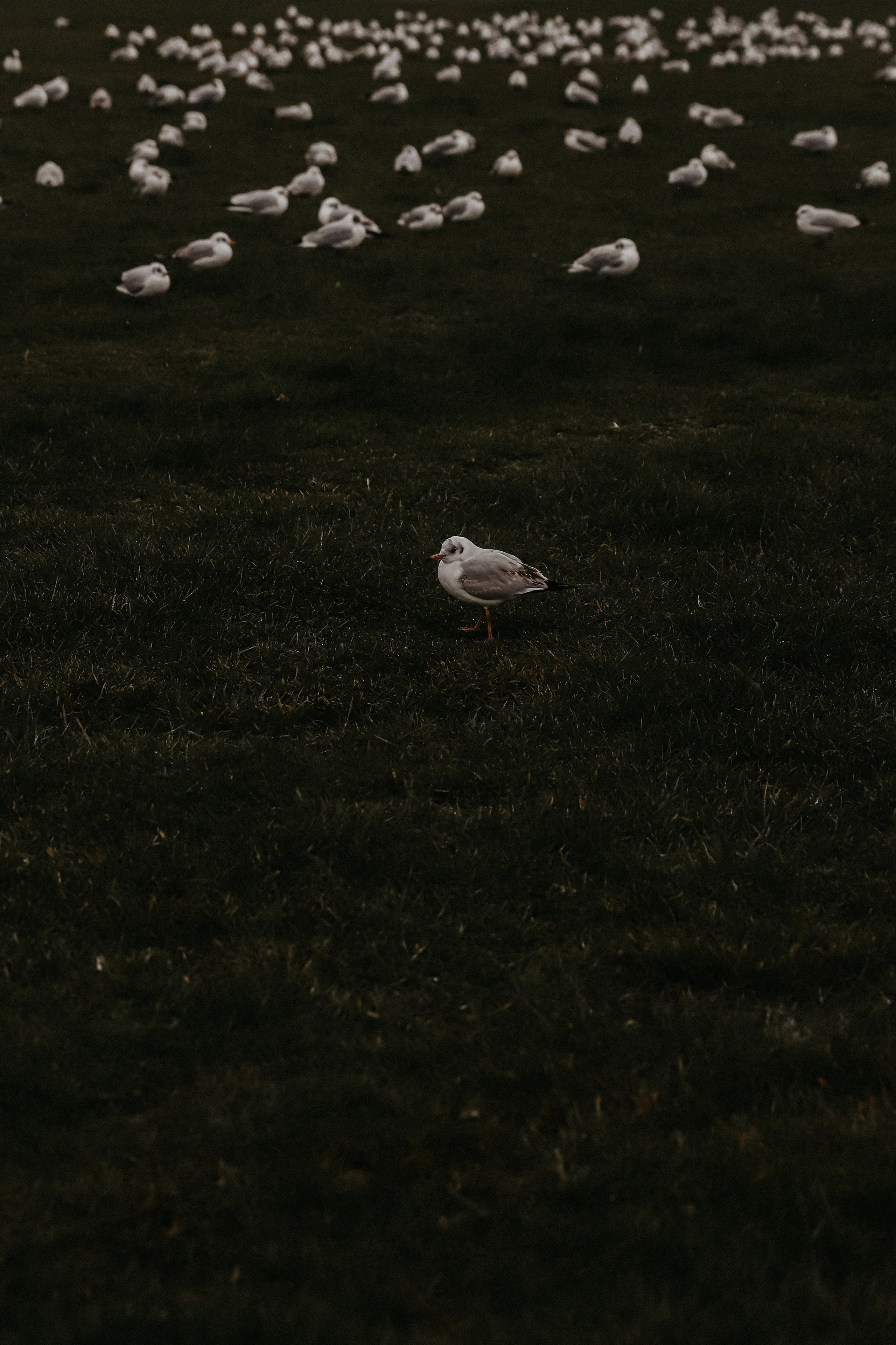 Юля и Женя. Event