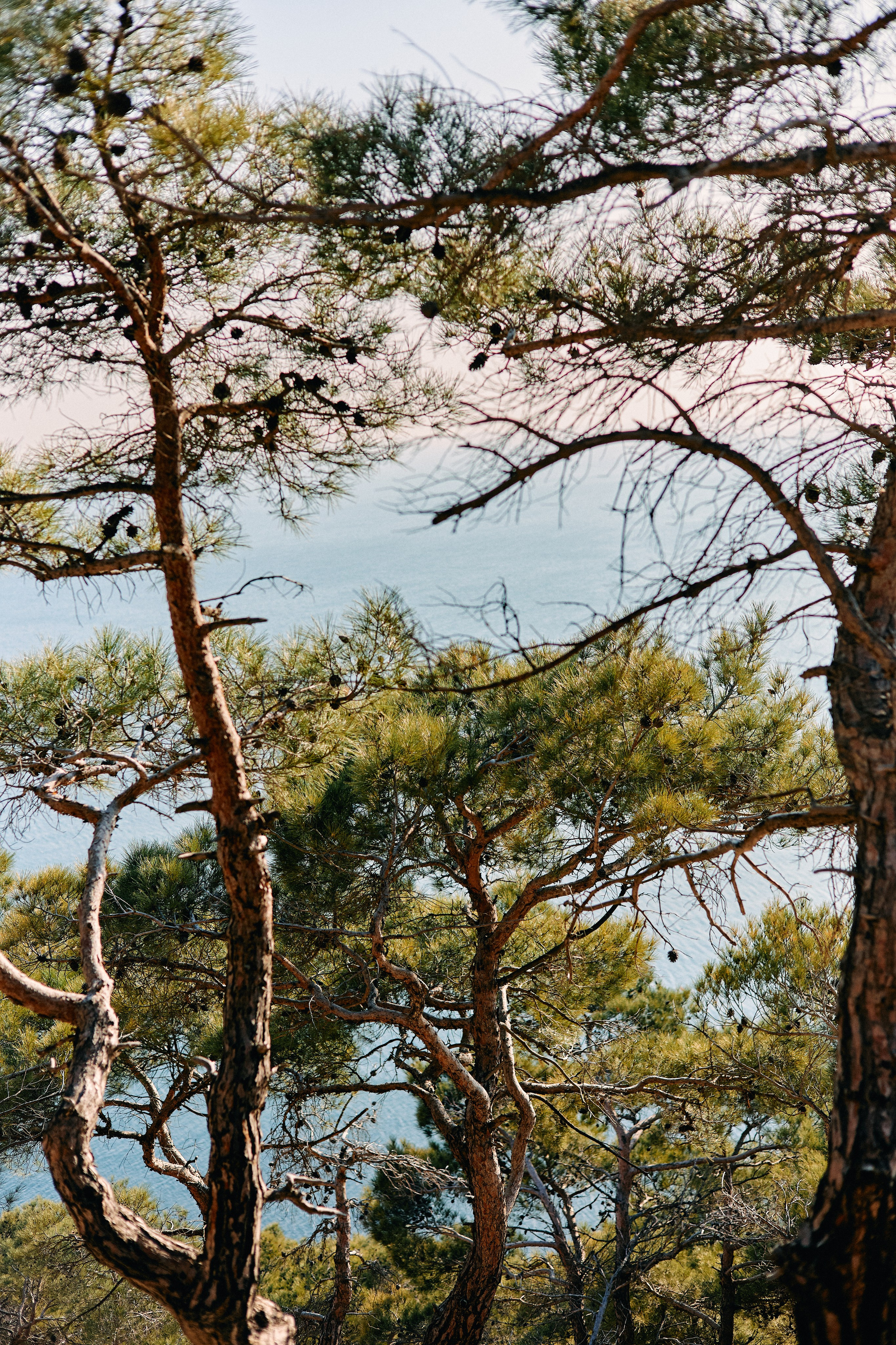 Юг России. Профессиональный Фотограф во Владимире, в Москве и в Суздале — Полина Романычева